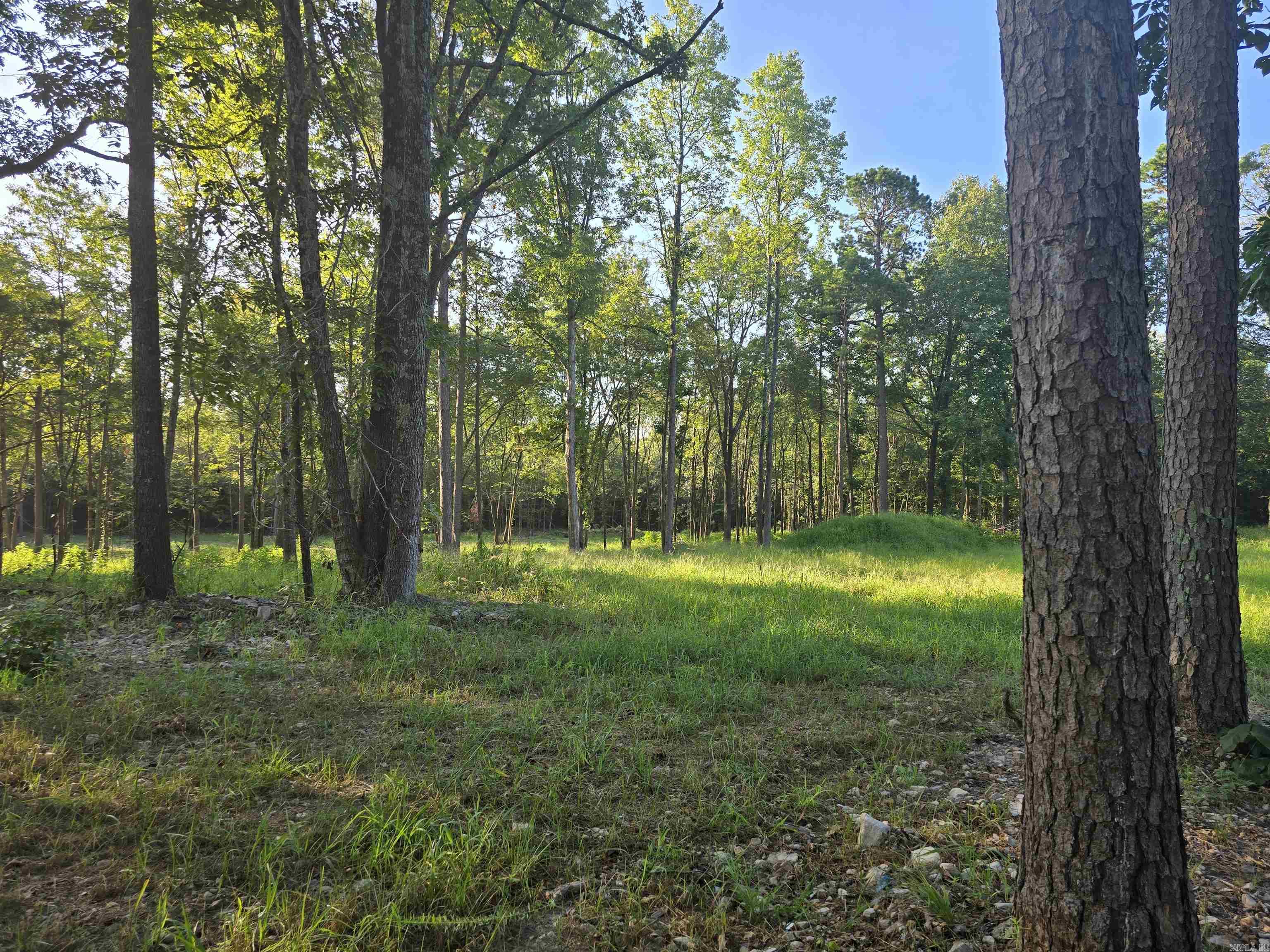 210 Polk Road 121  Mena, AR