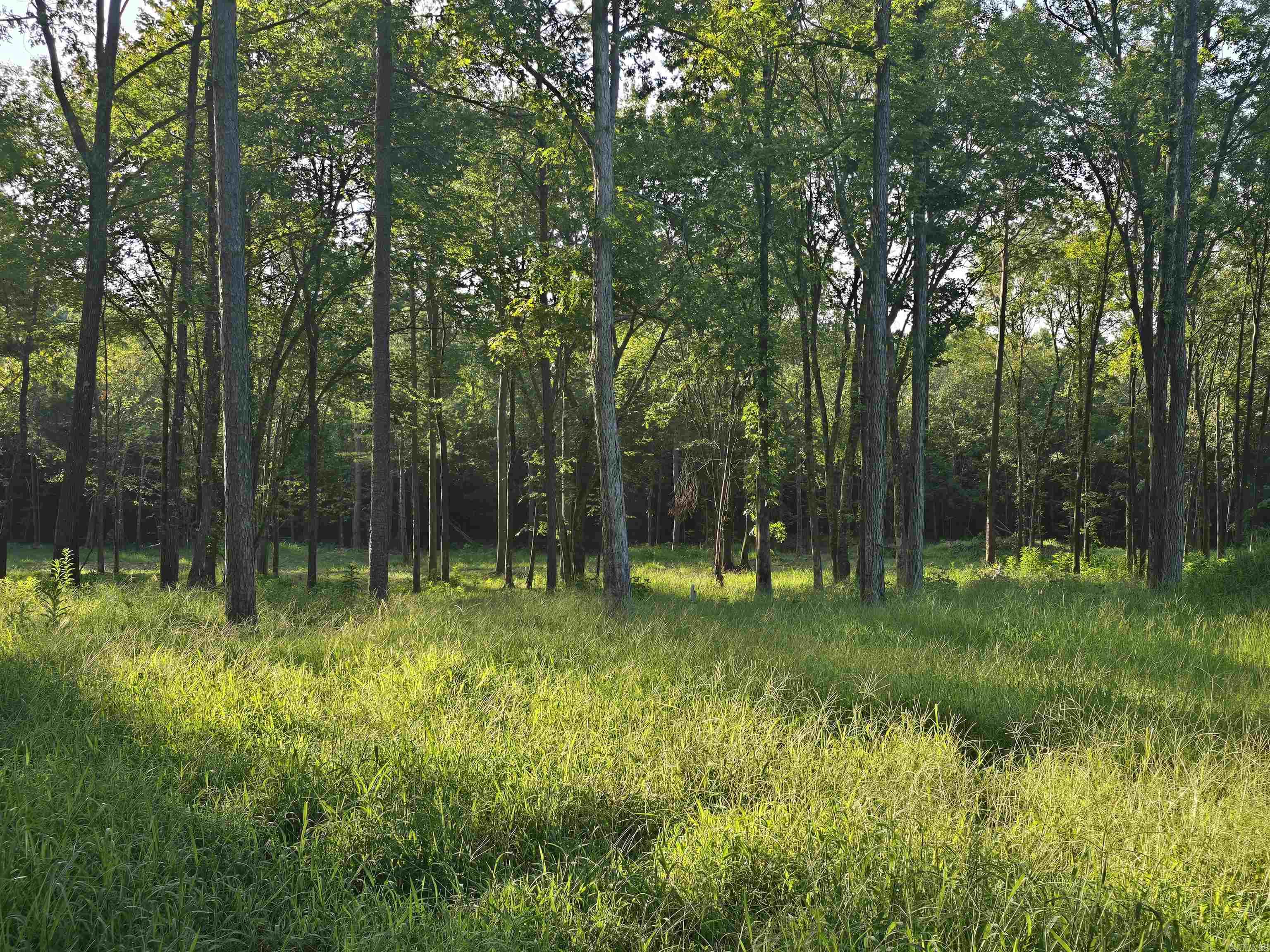210 Polk Road 121  Mena, AR