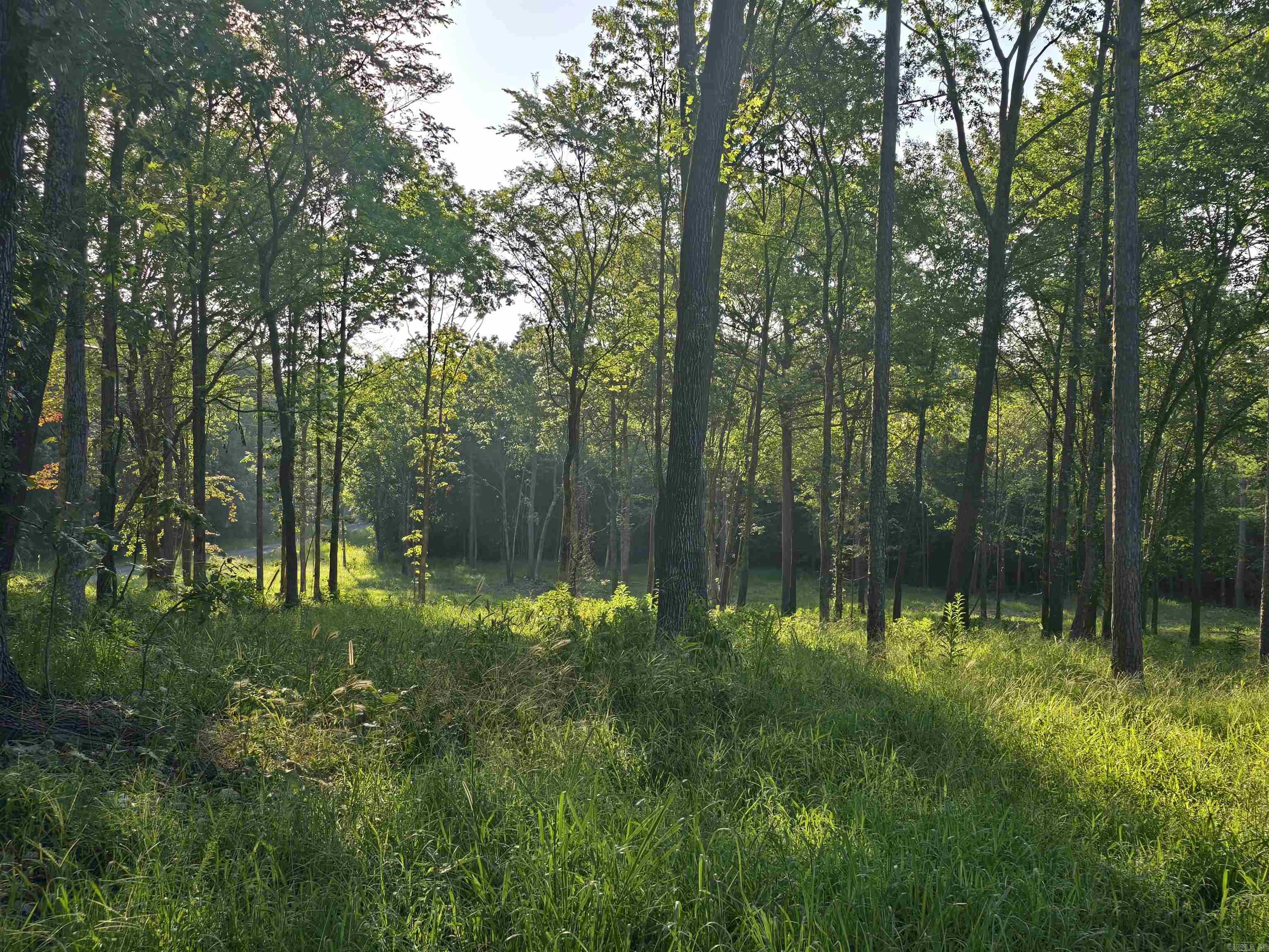 210 Polk Road 121  Mena, AR