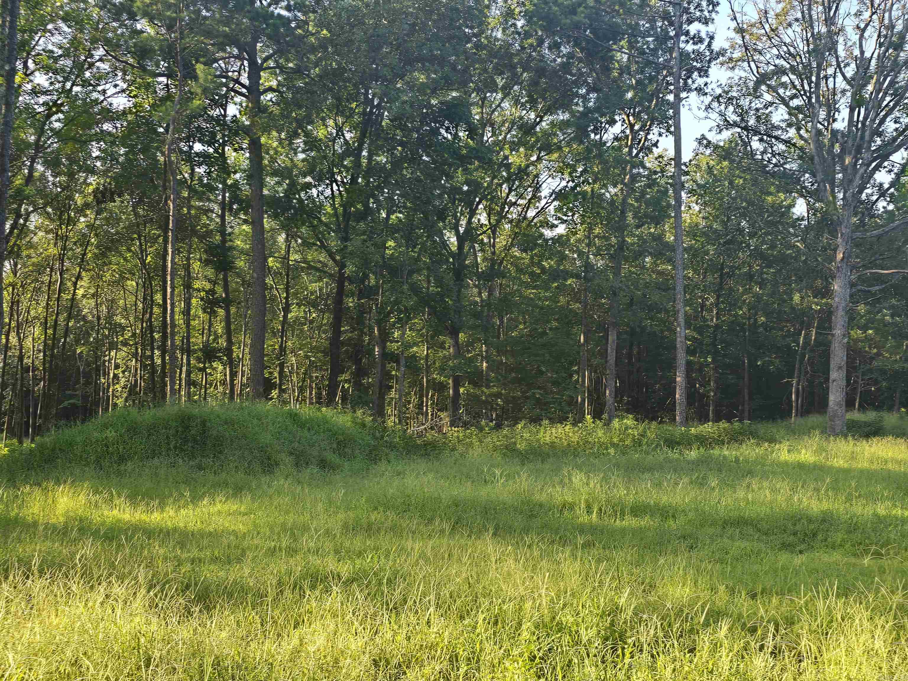 210 Polk Road 121  Mena, AR