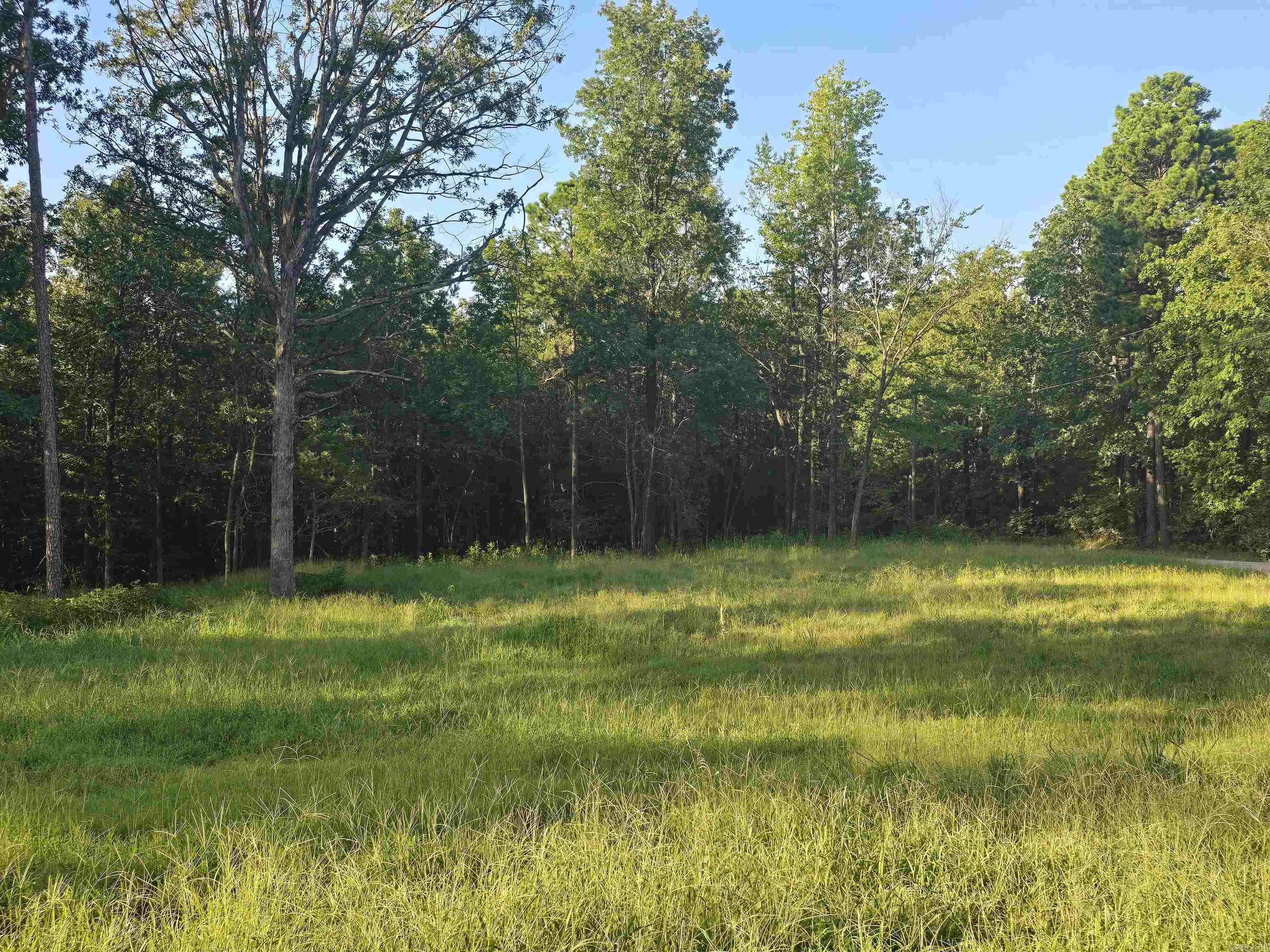 210 Polk Road 121  Mena, AR