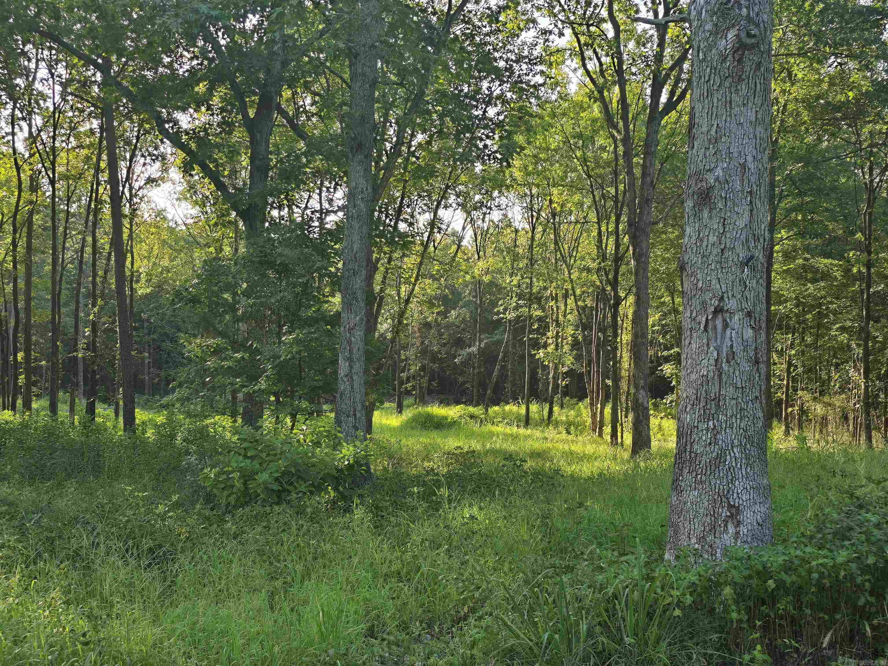 210 Polk Road 121  Mena, AR