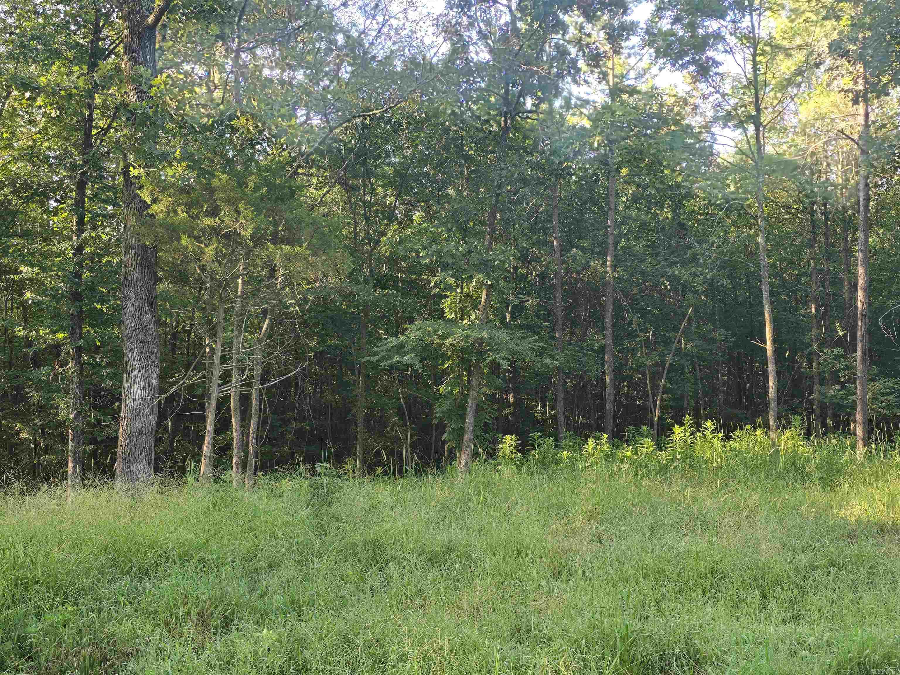 210 Polk Road 121  Mena, AR