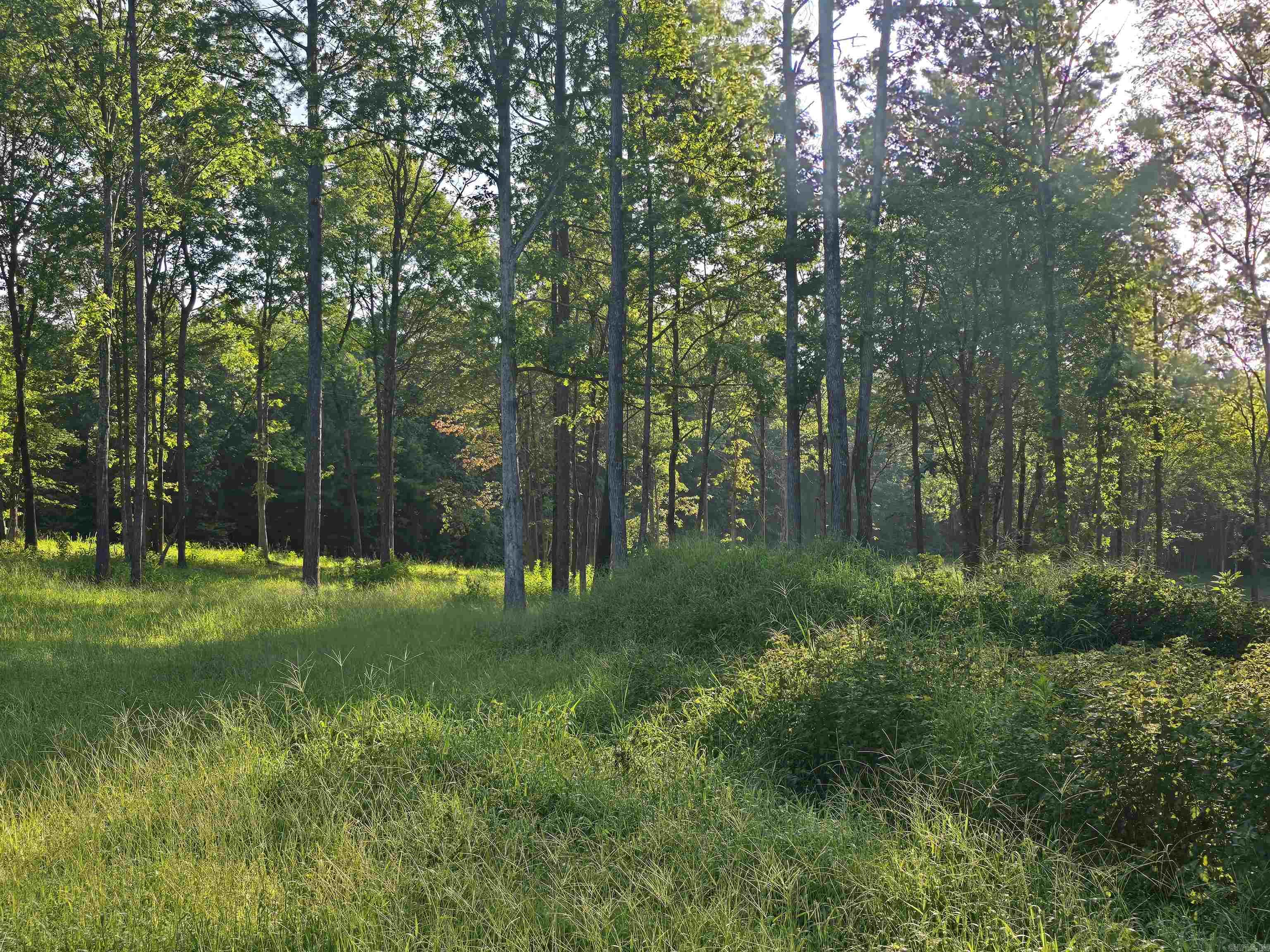 210 Polk Road 121  Mena, AR