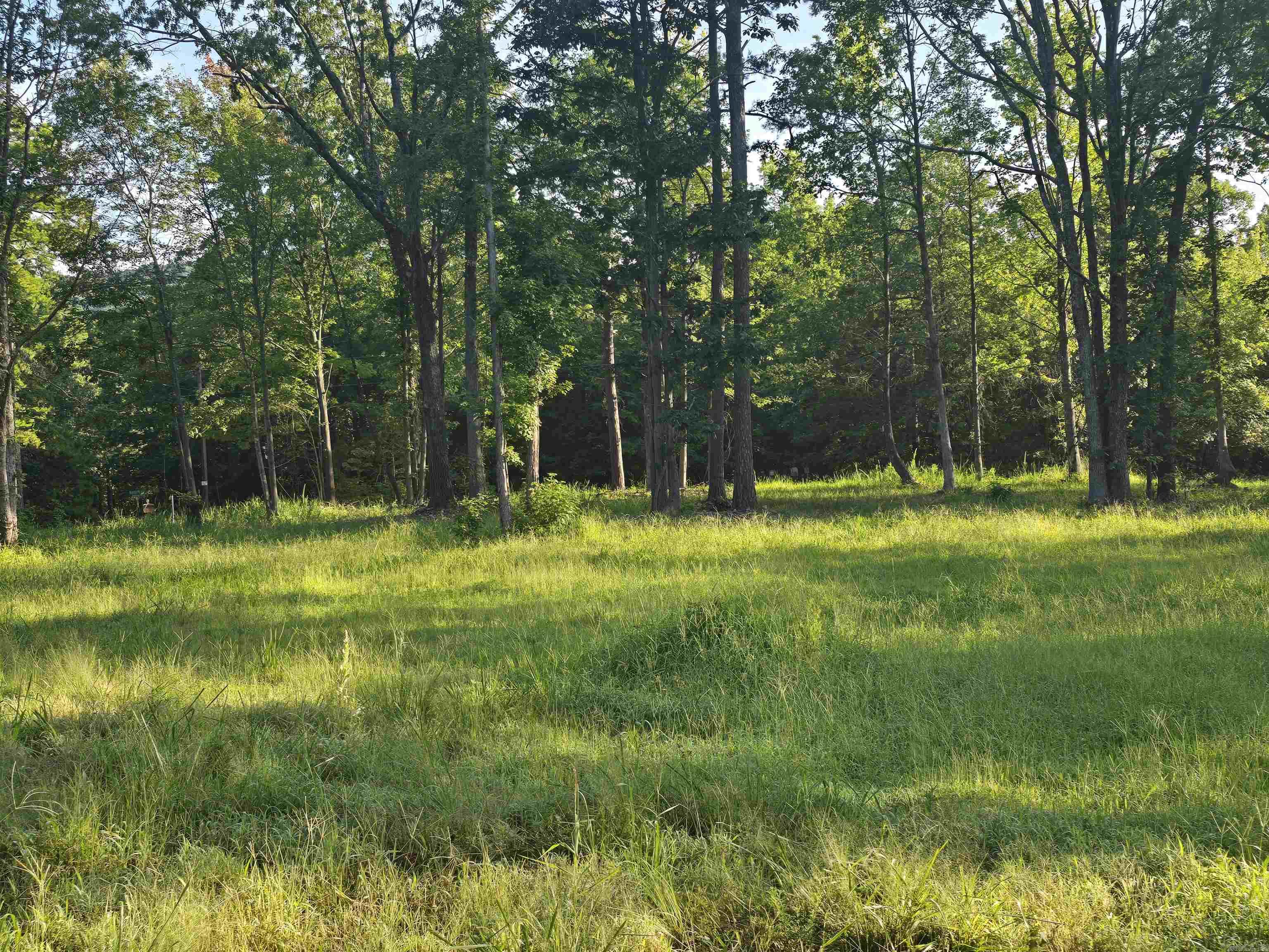 210 Polk Road 121  Mena, AR