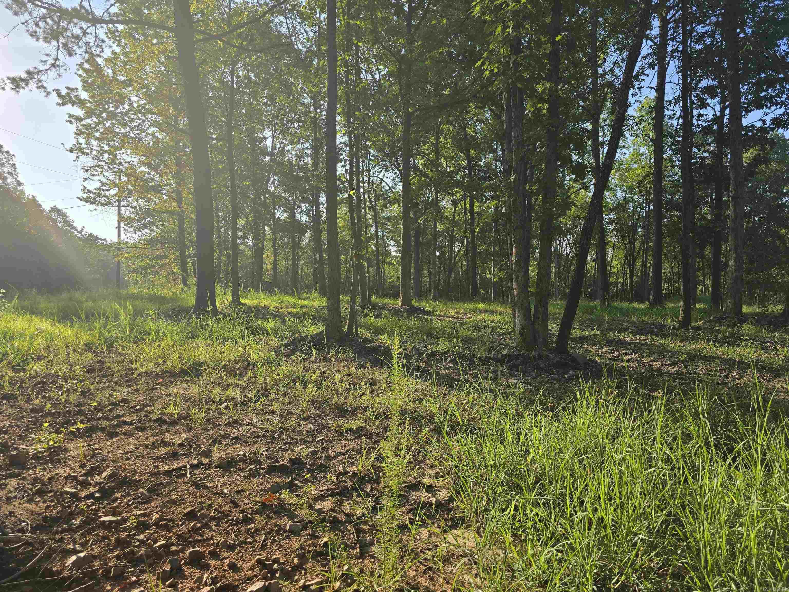 210 Polk Road 121  Mena, AR