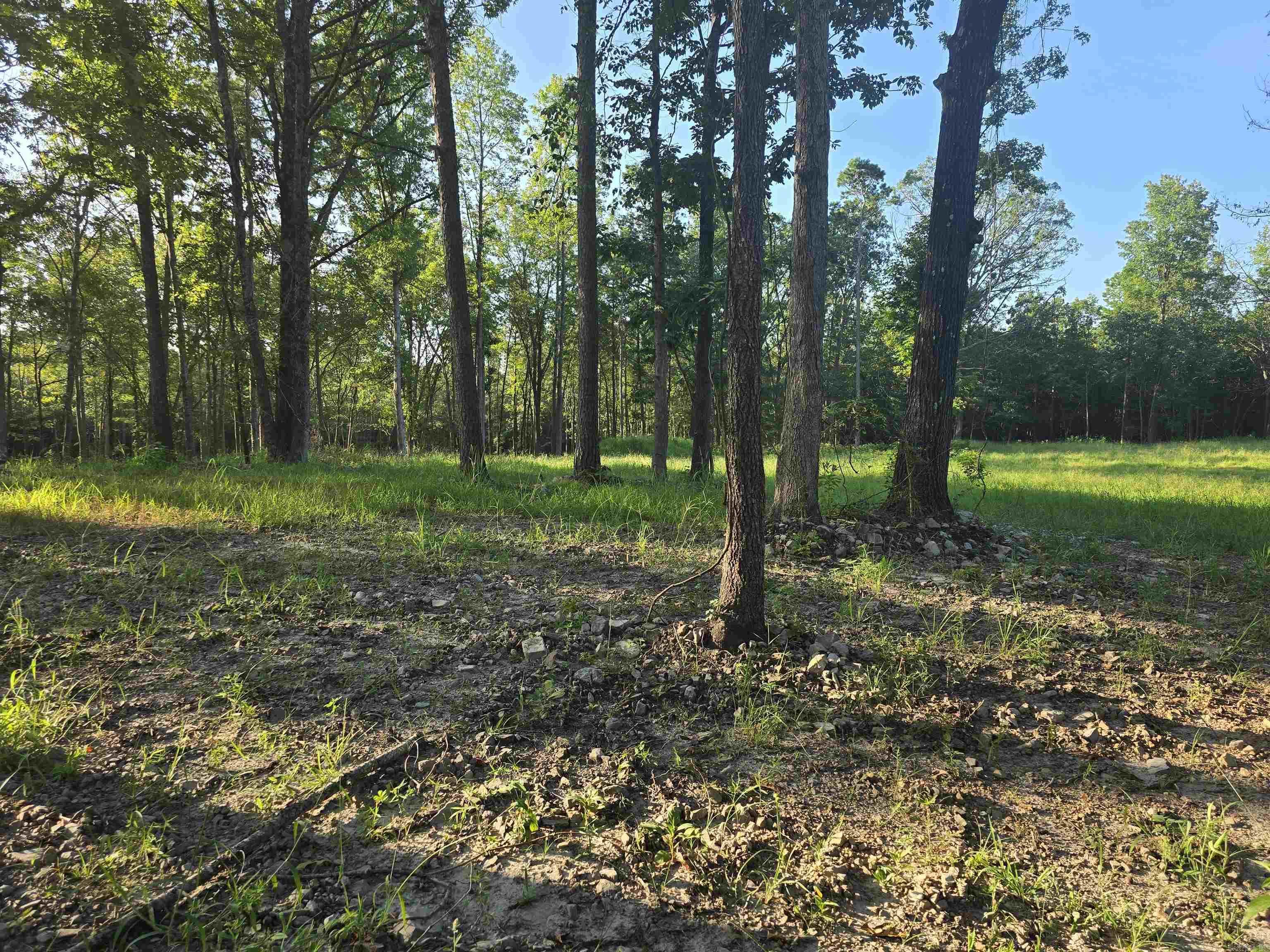 210 Polk Road 121  Mena, AR