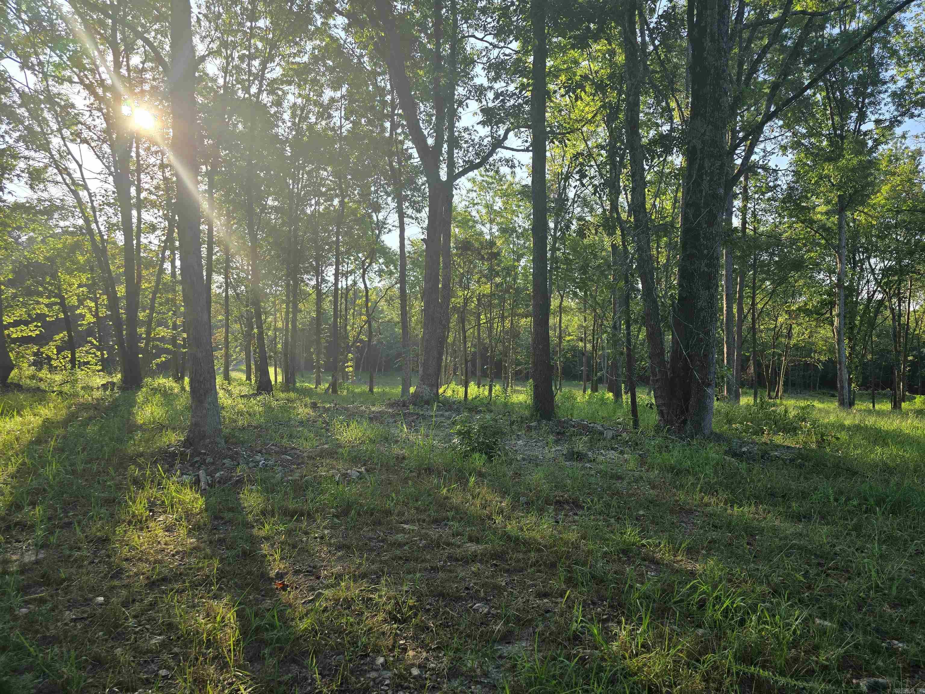 210 Polk Road 121  Mena, AR