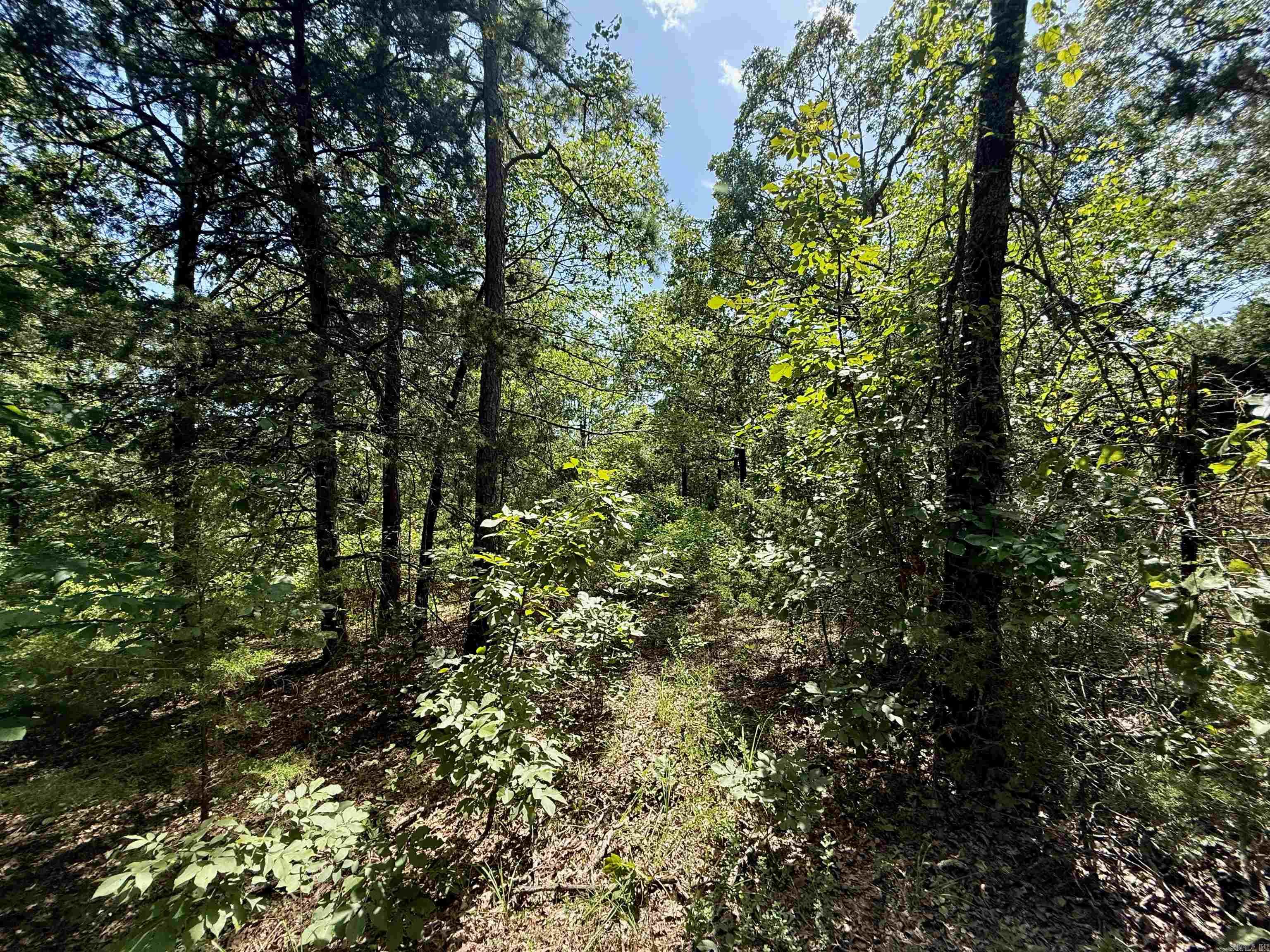 370 Pinewood Circle S  Delaware, AR