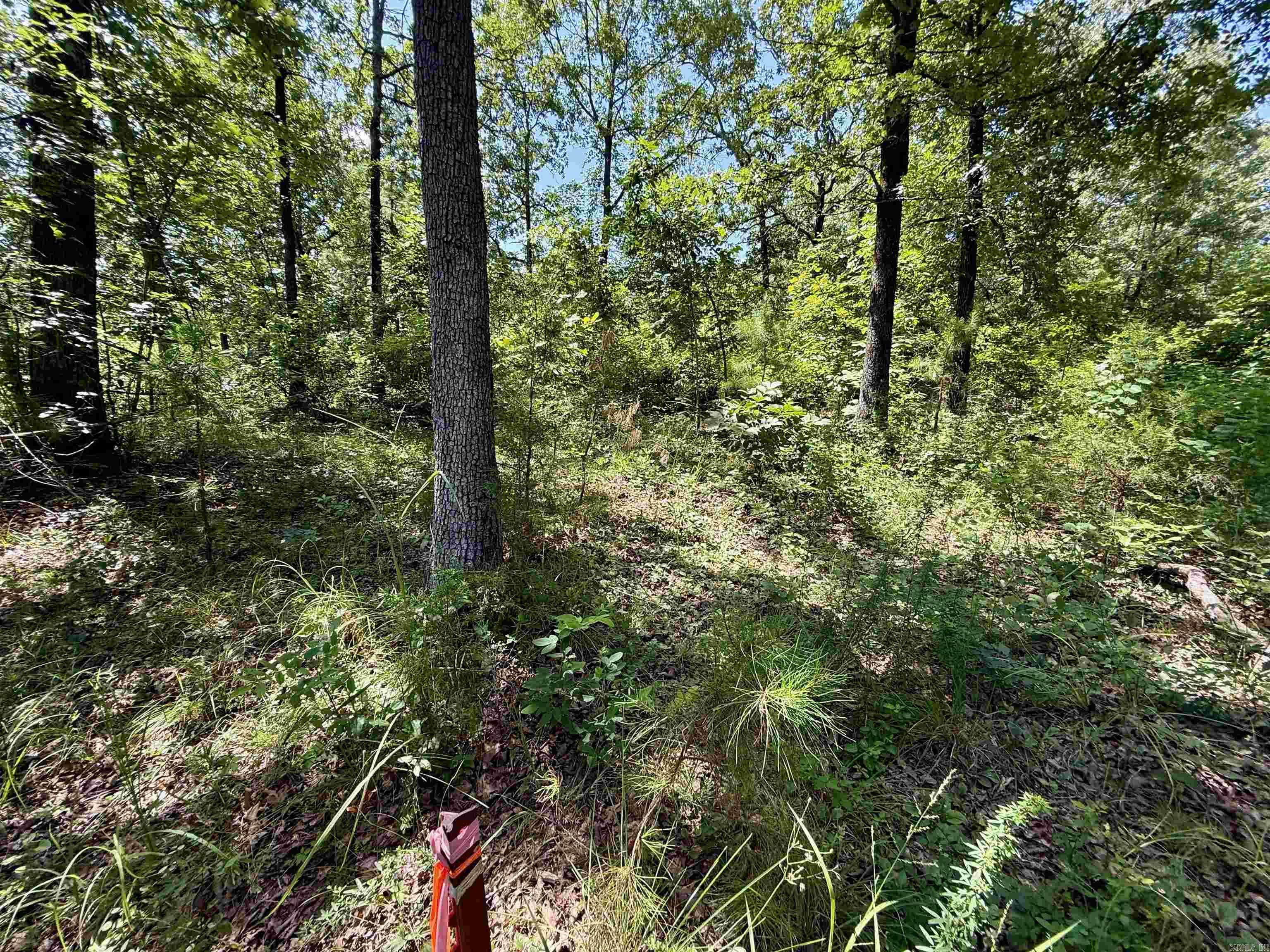 370 Pinewood Circle S  Delaware, AR