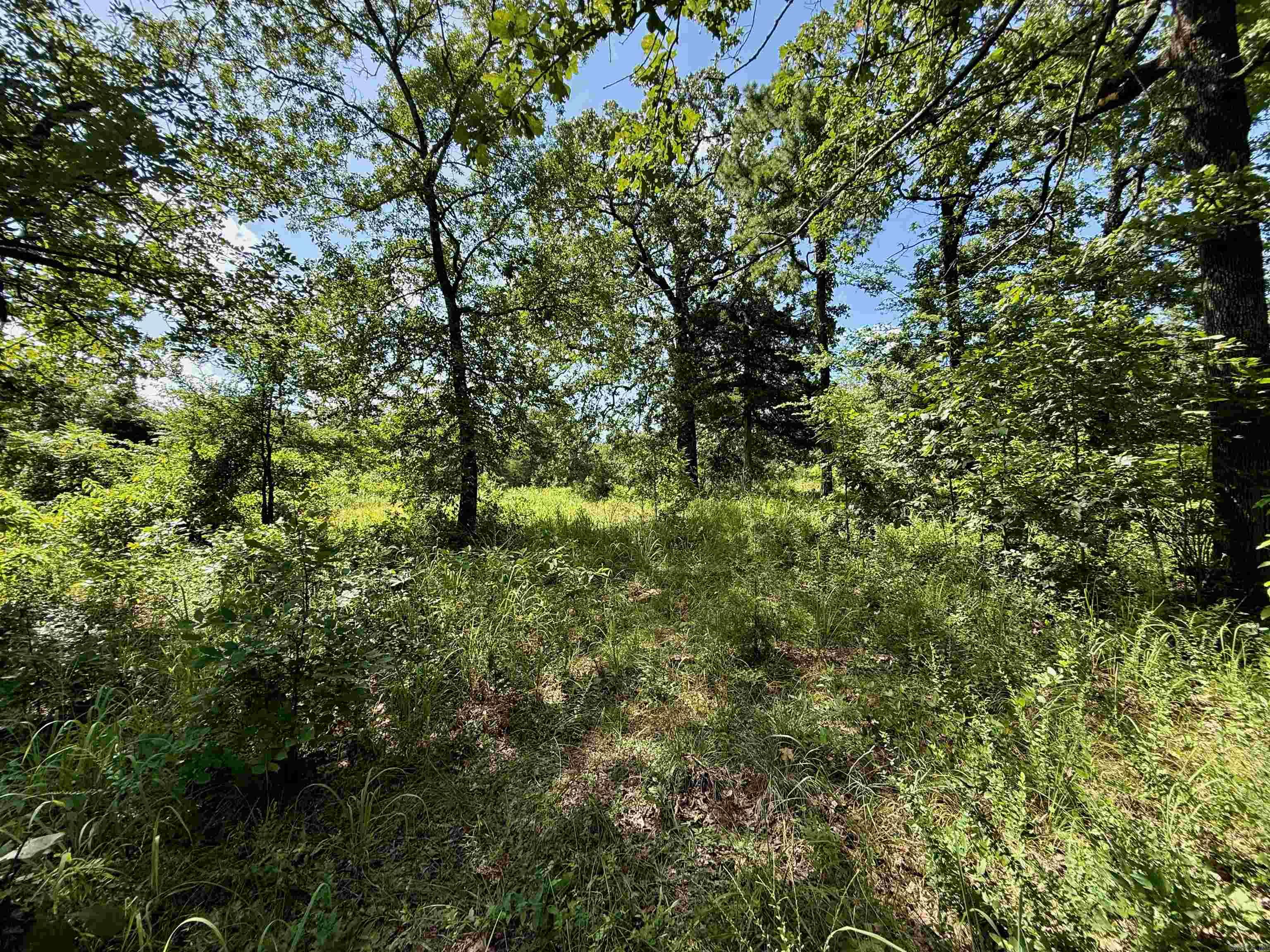 370 Pinewood Circle S  Delaware, AR