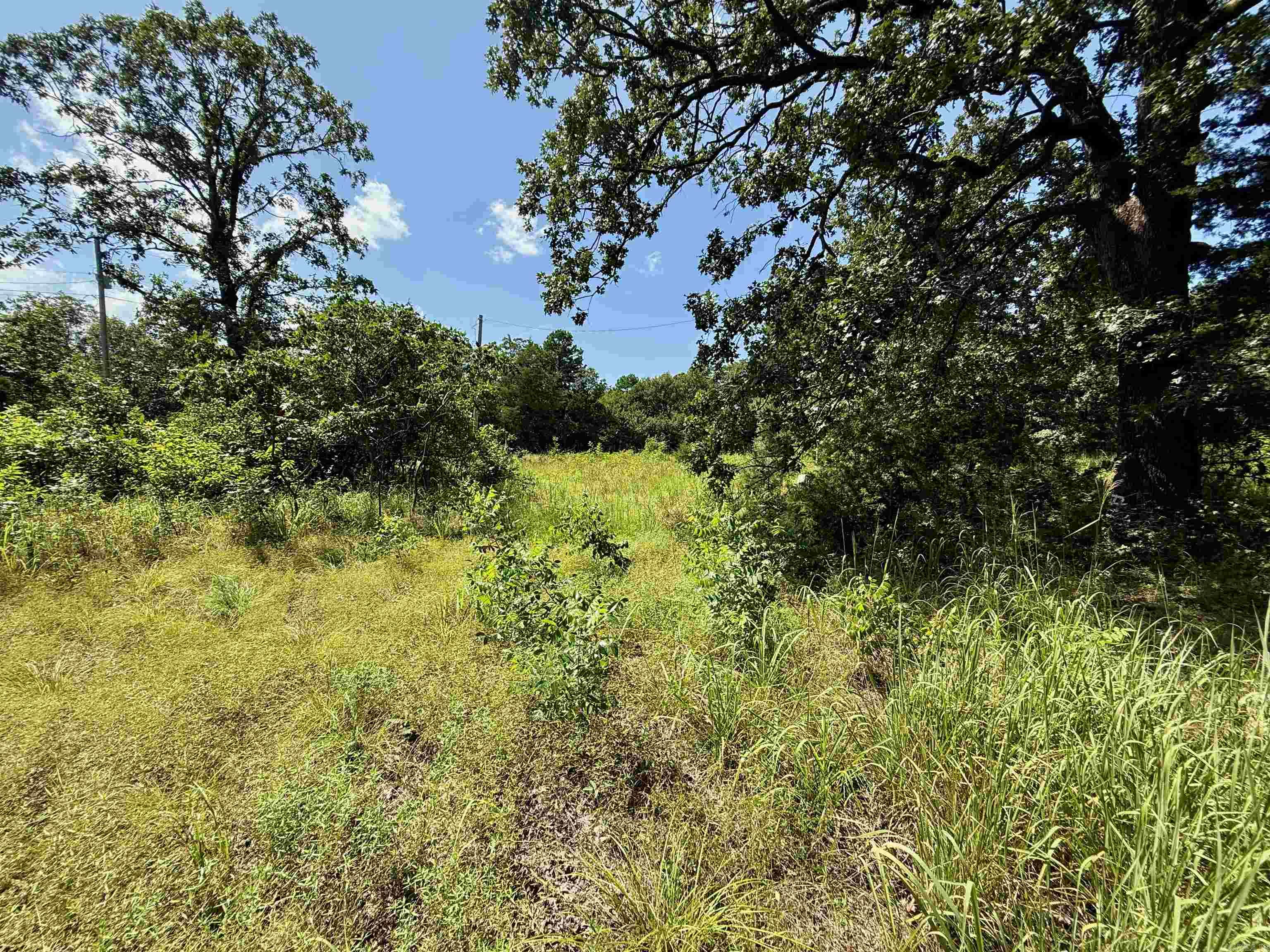 370 Pinewood Circle S  Delaware, AR