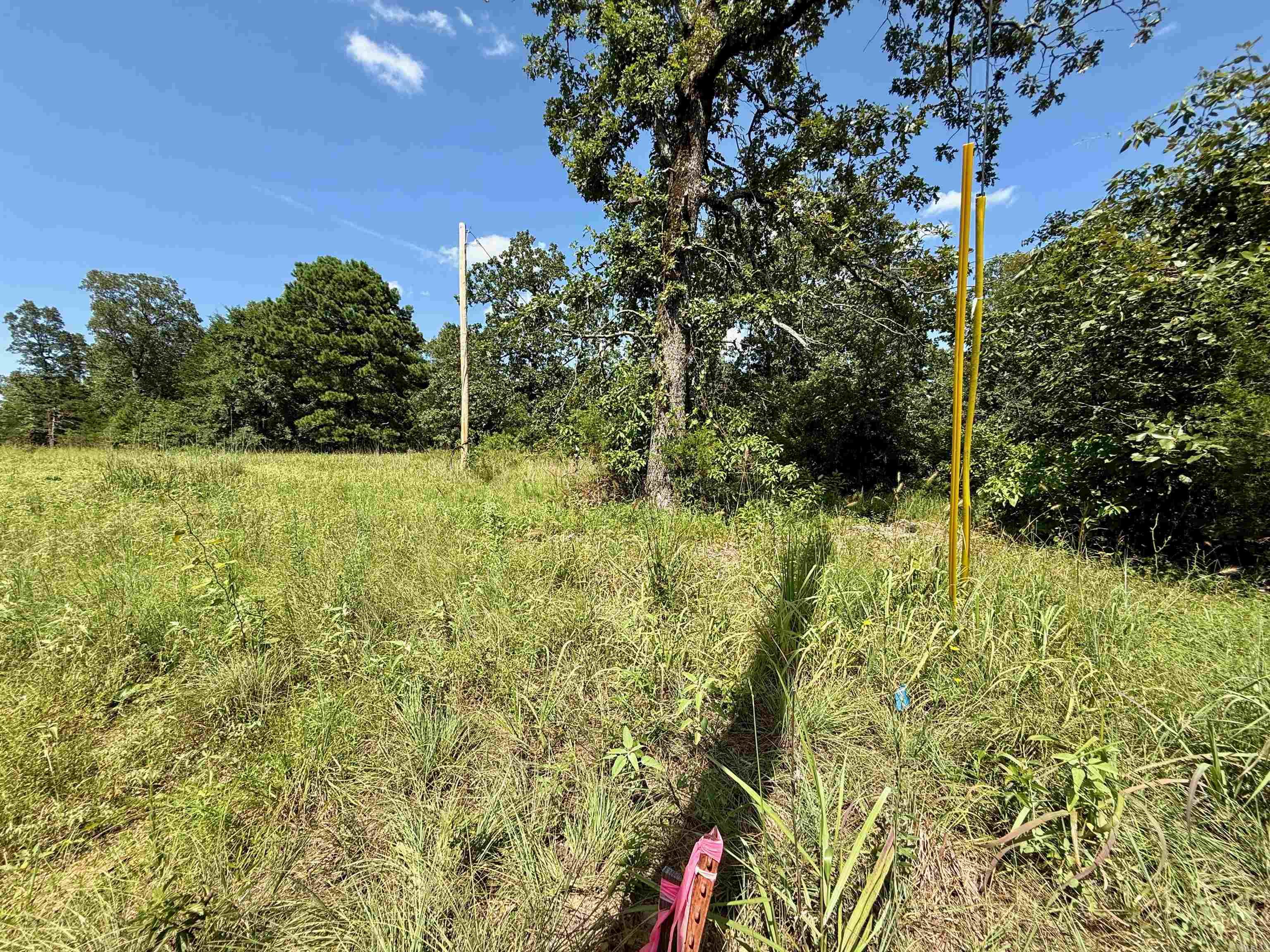 370 Pinewood Circle S  Delaware, AR