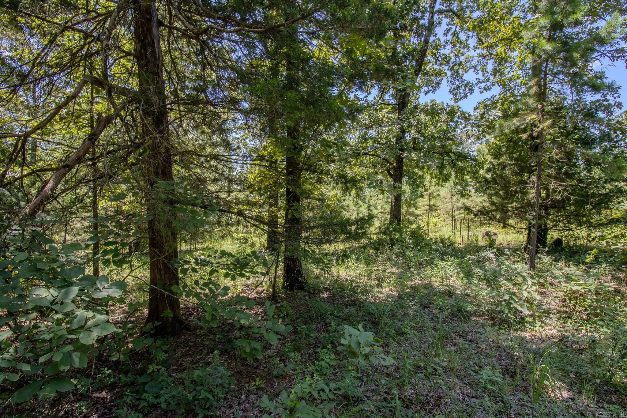 370 Pinewood Circle S  Delaware, AR