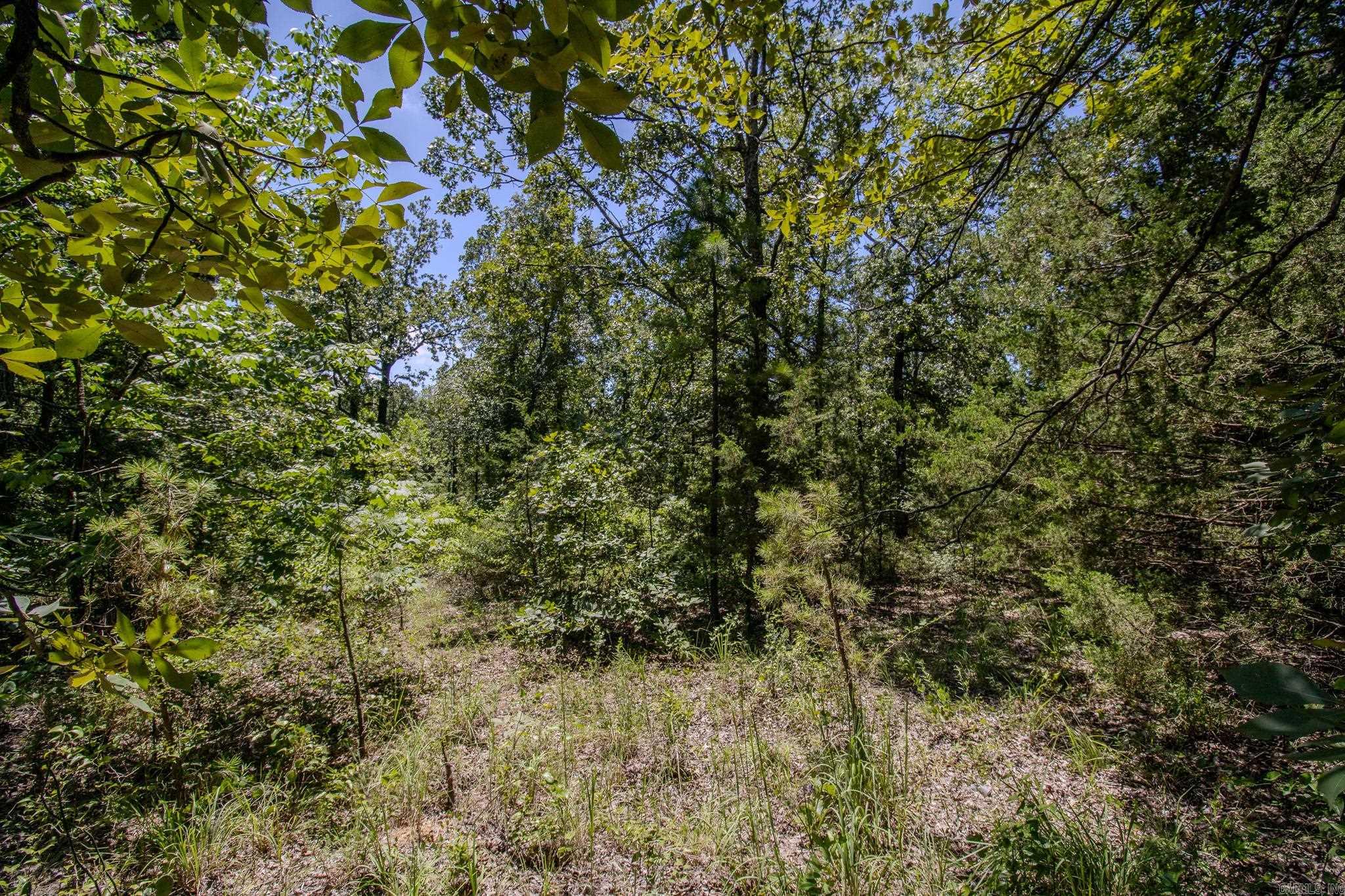 370 Pinewood Circle S  Delaware, AR