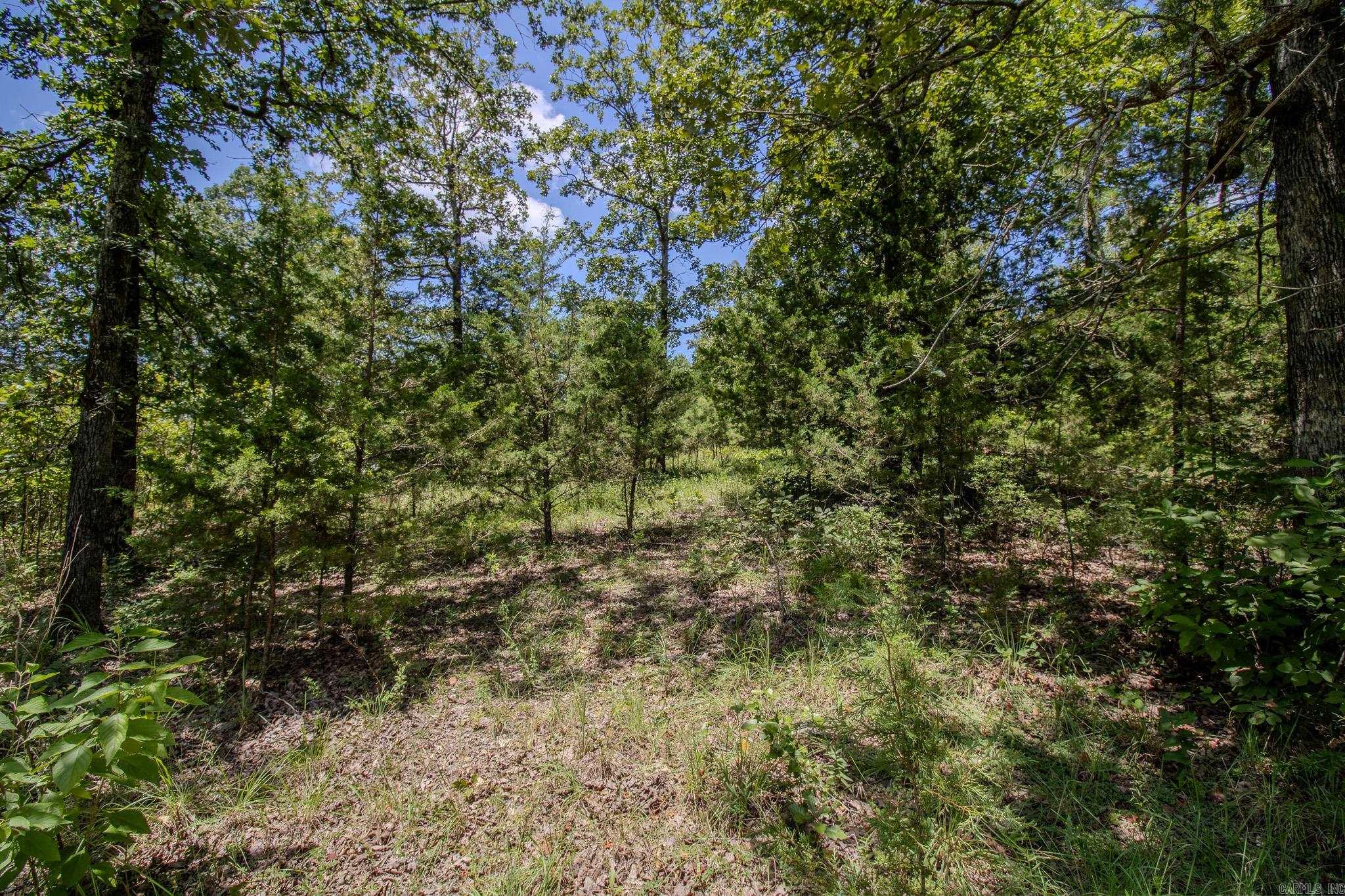 370 Pinewood Circle S  Delaware, AR
