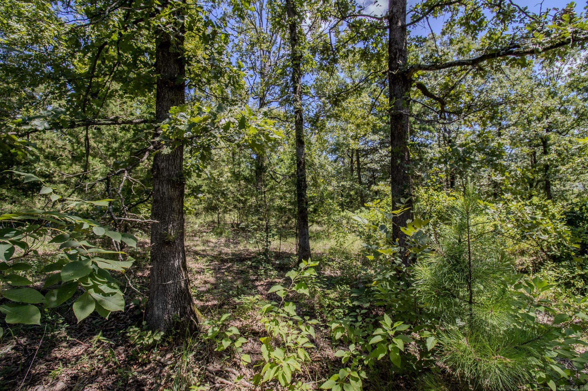 370 Pinewood Circle S  Delaware, AR