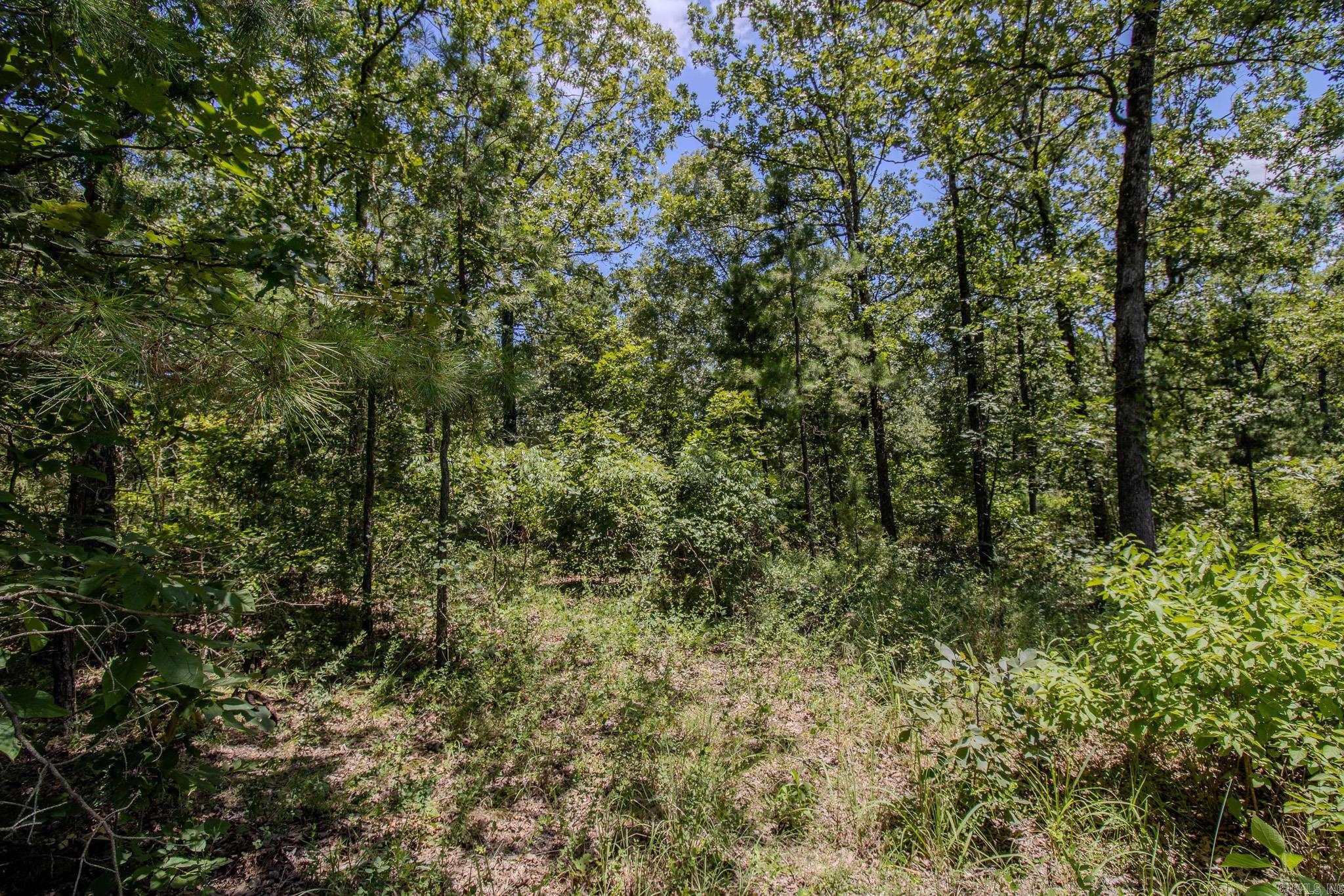 370 Pinewood Circle S  Delaware, AR