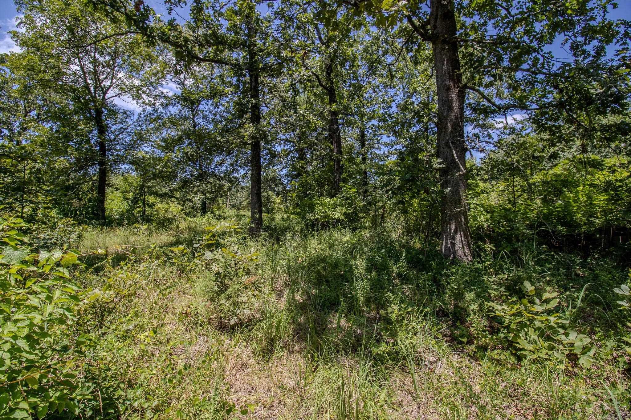 370 Pinewood Circle S  Delaware, AR