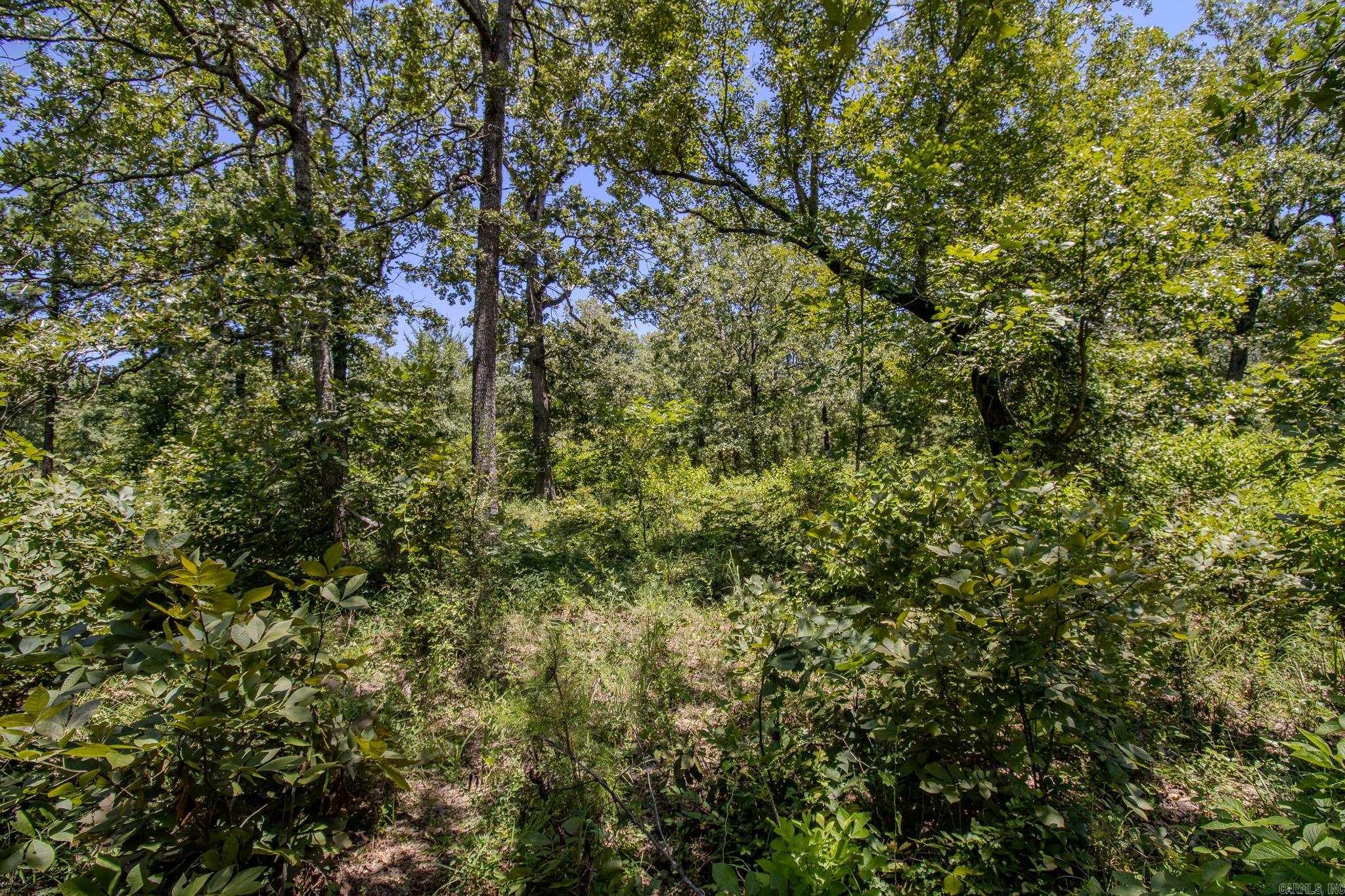 370 Pinewood Circle S  Delaware, AR