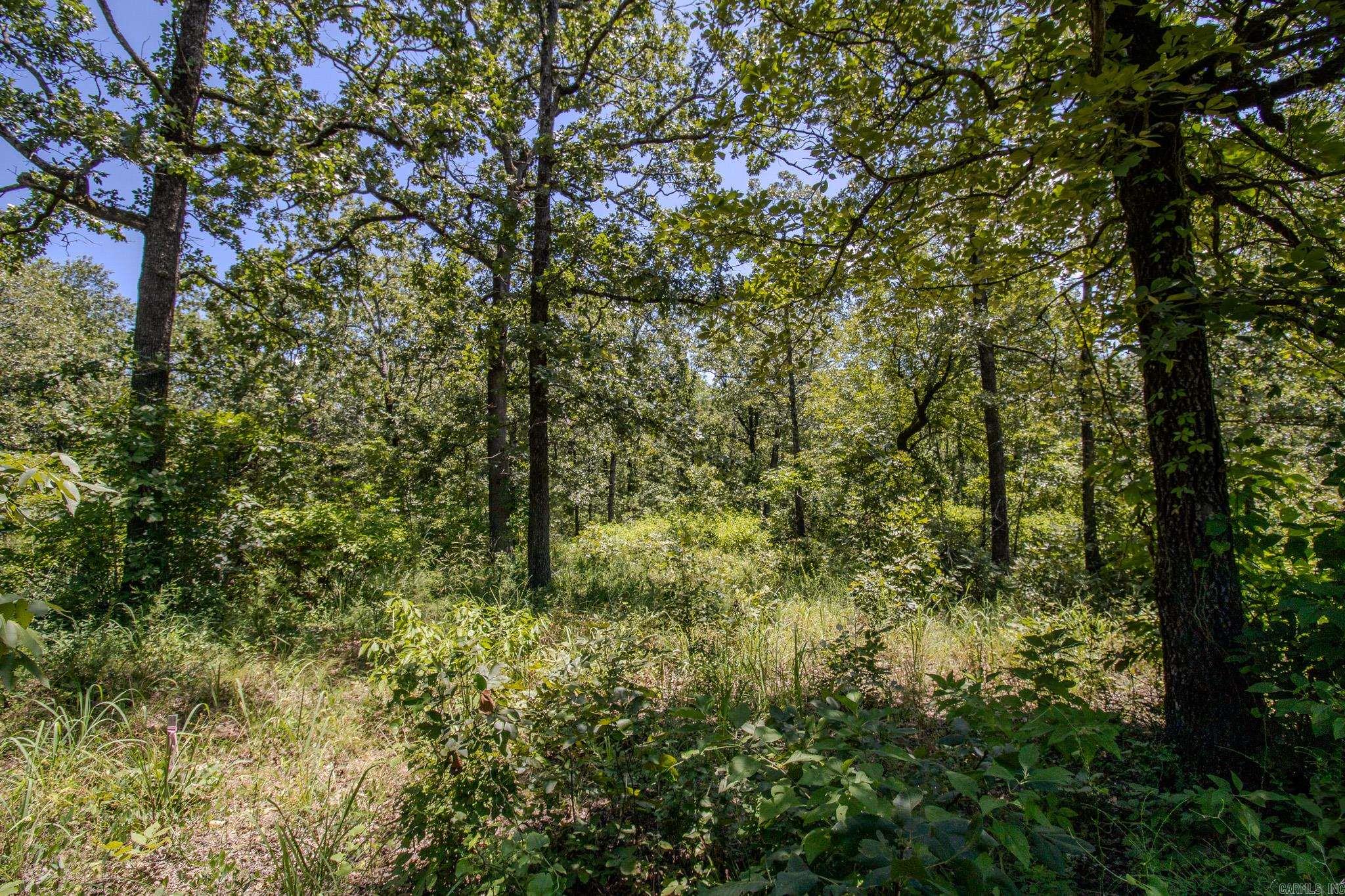 370 Pinewood Circle S  Delaware, AR