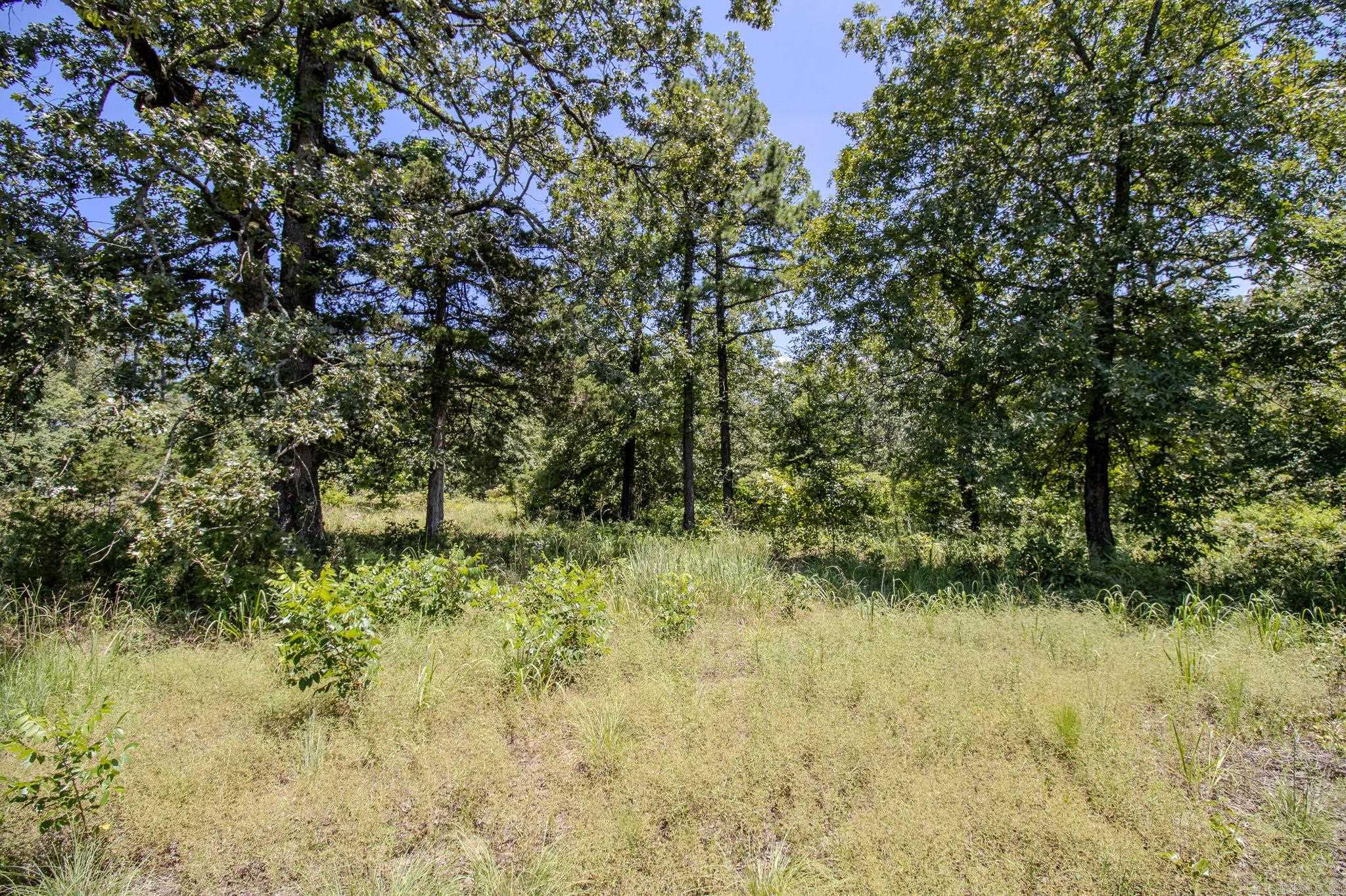 370 Pinewood Circle S  Delaware, AR