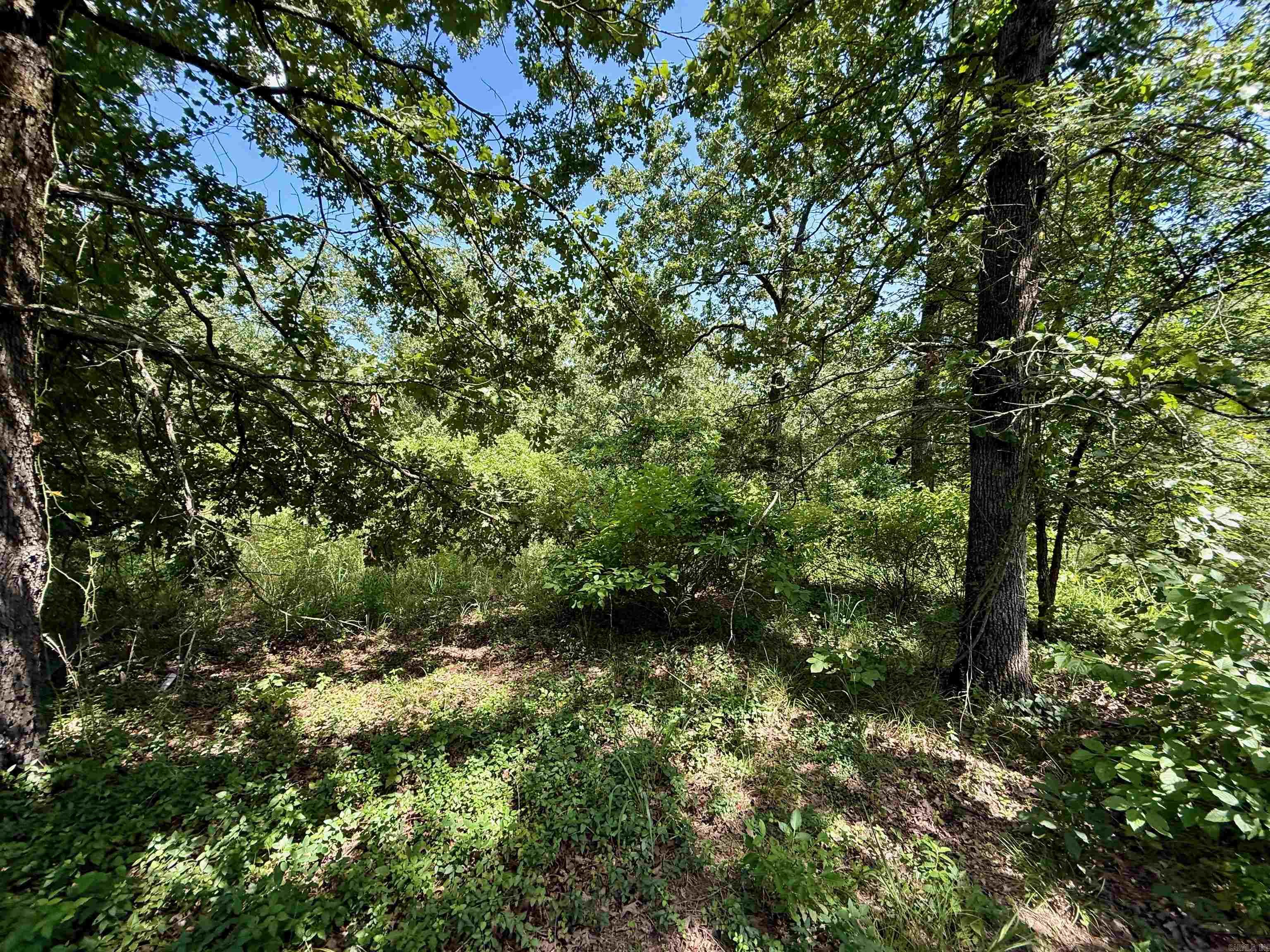 370 Pinewood Circle S  Delaware, AR
