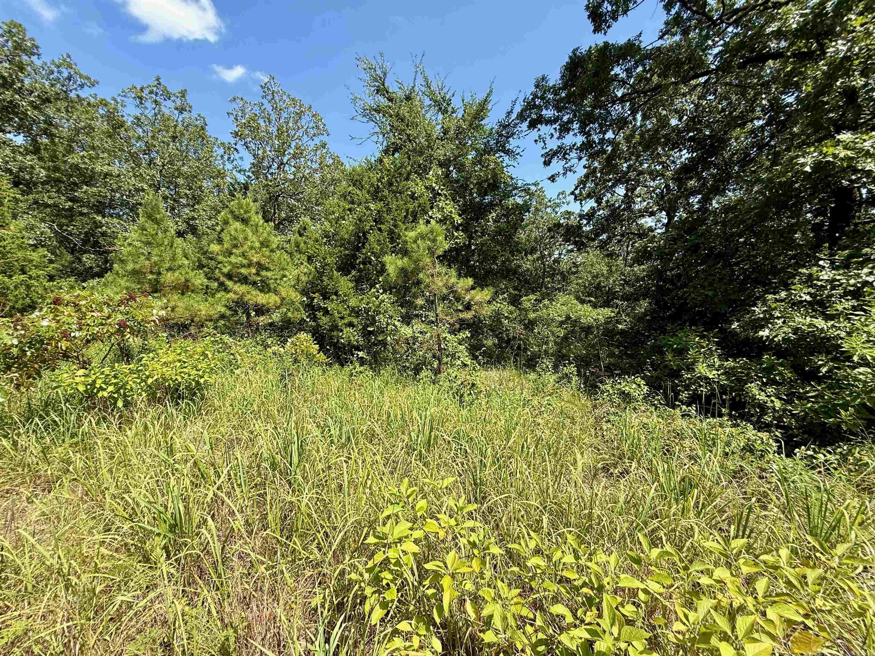 370 Pinewood Circle S  Delaware, AR