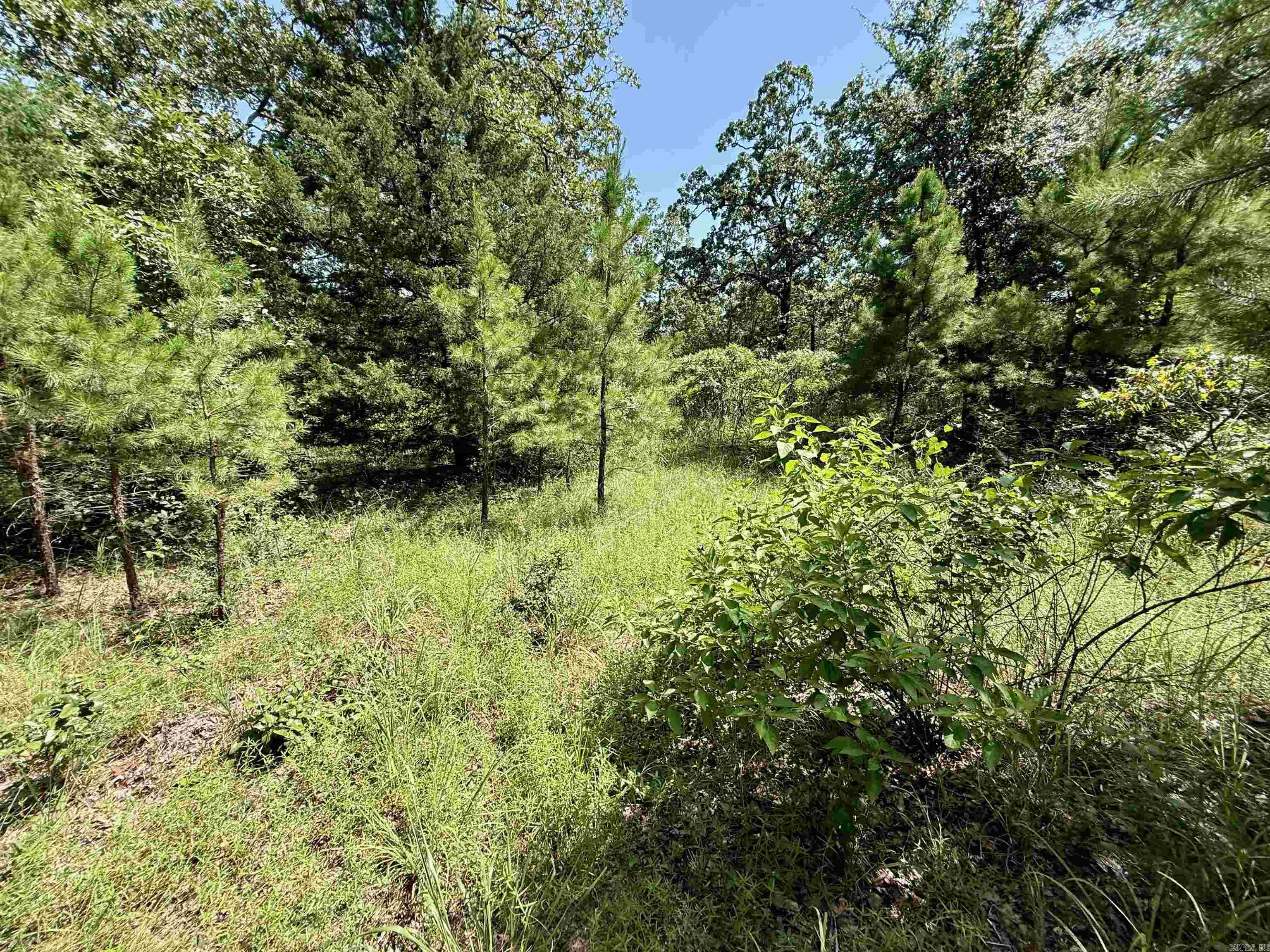 370 Pinewood Circle S  Delaware, AR