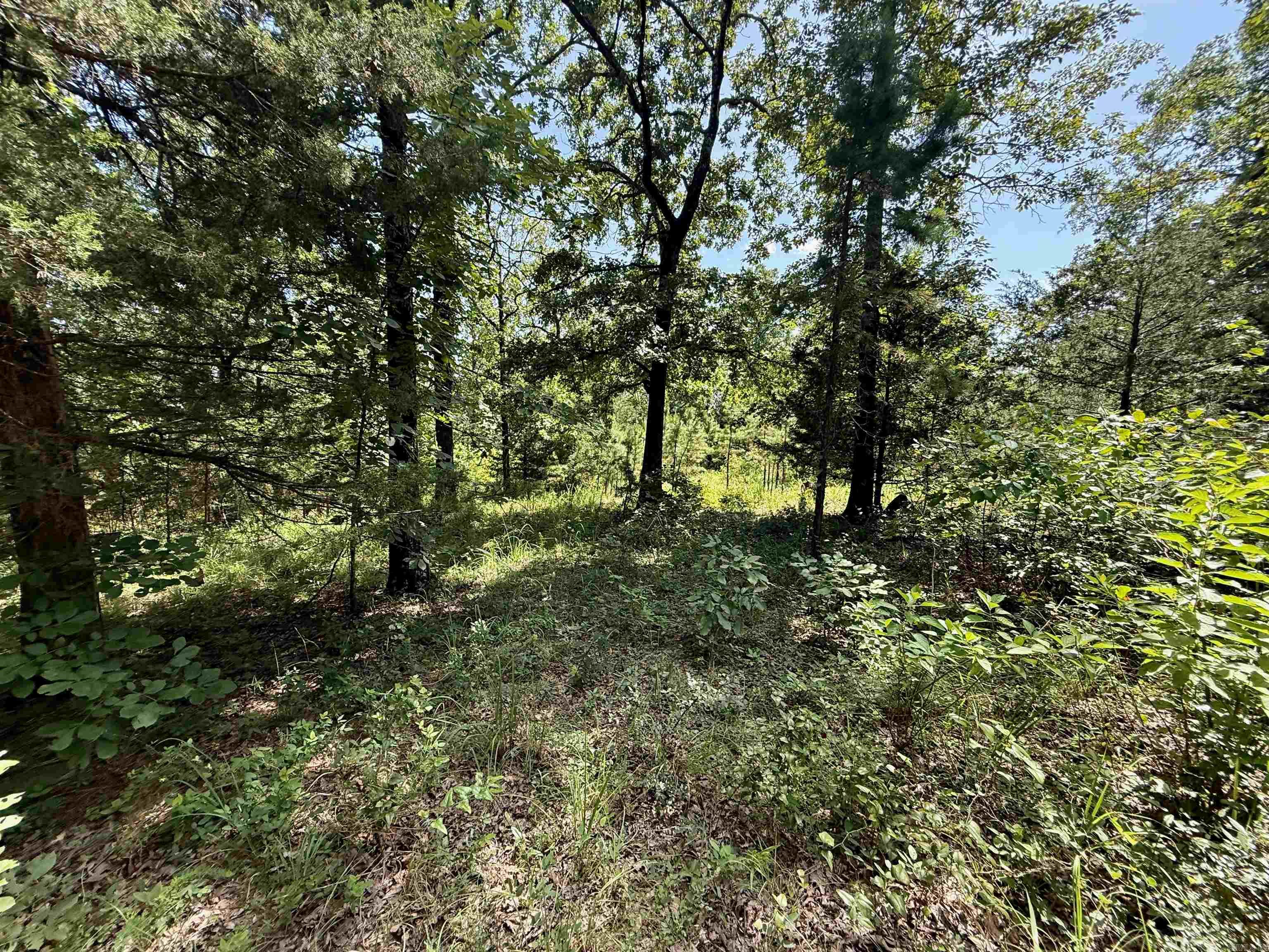 370 Pinewood Circle S  Delaware, AR