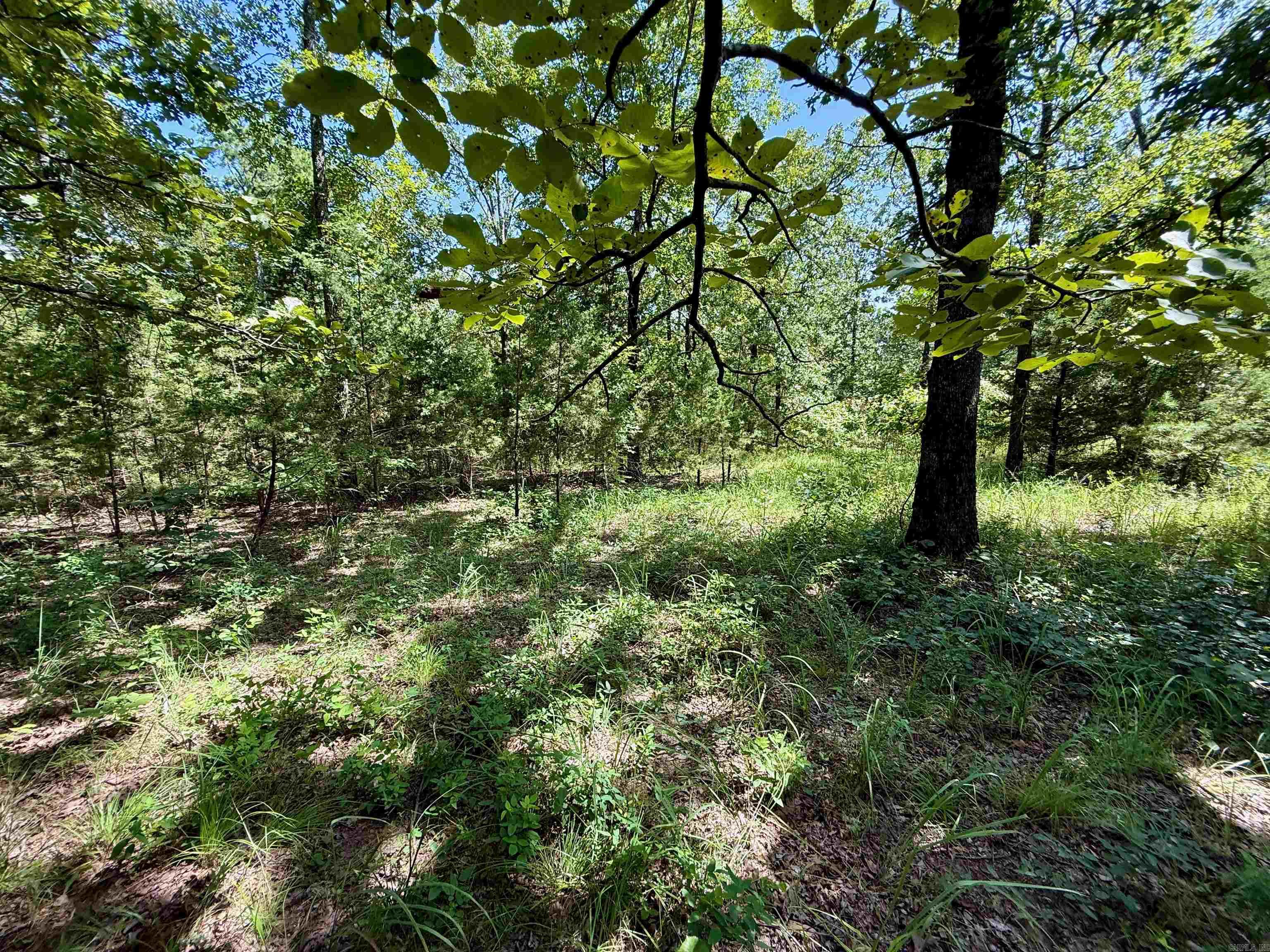 370 Pinewood Circle S  Delaware, AR
