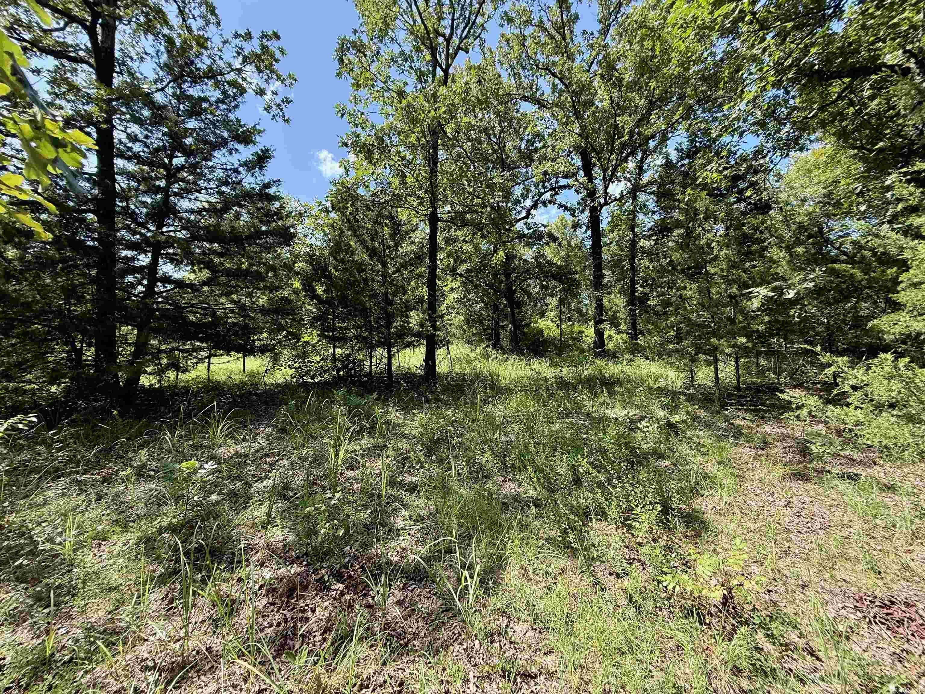 370 Pinewood Circle S  Delaware, AR