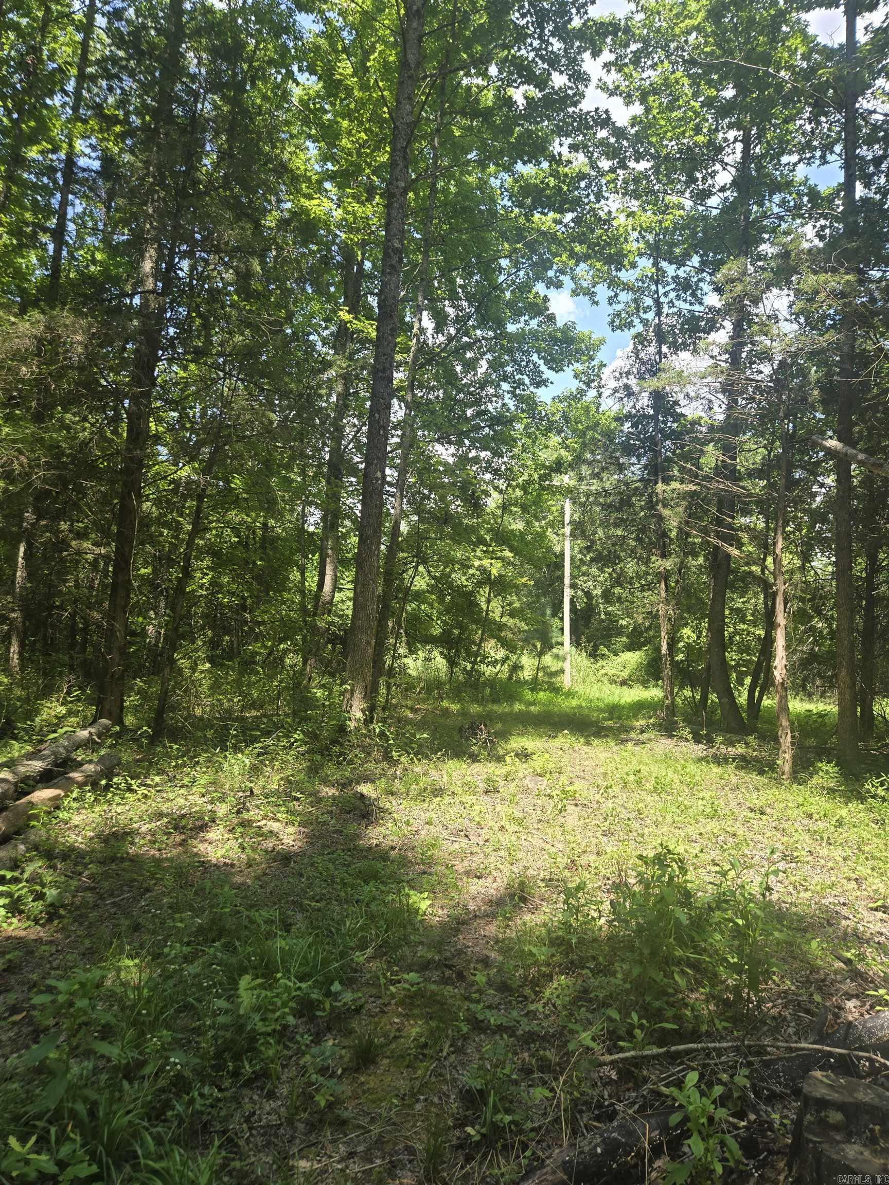 1084 Pickens Chapel  Letona, AR