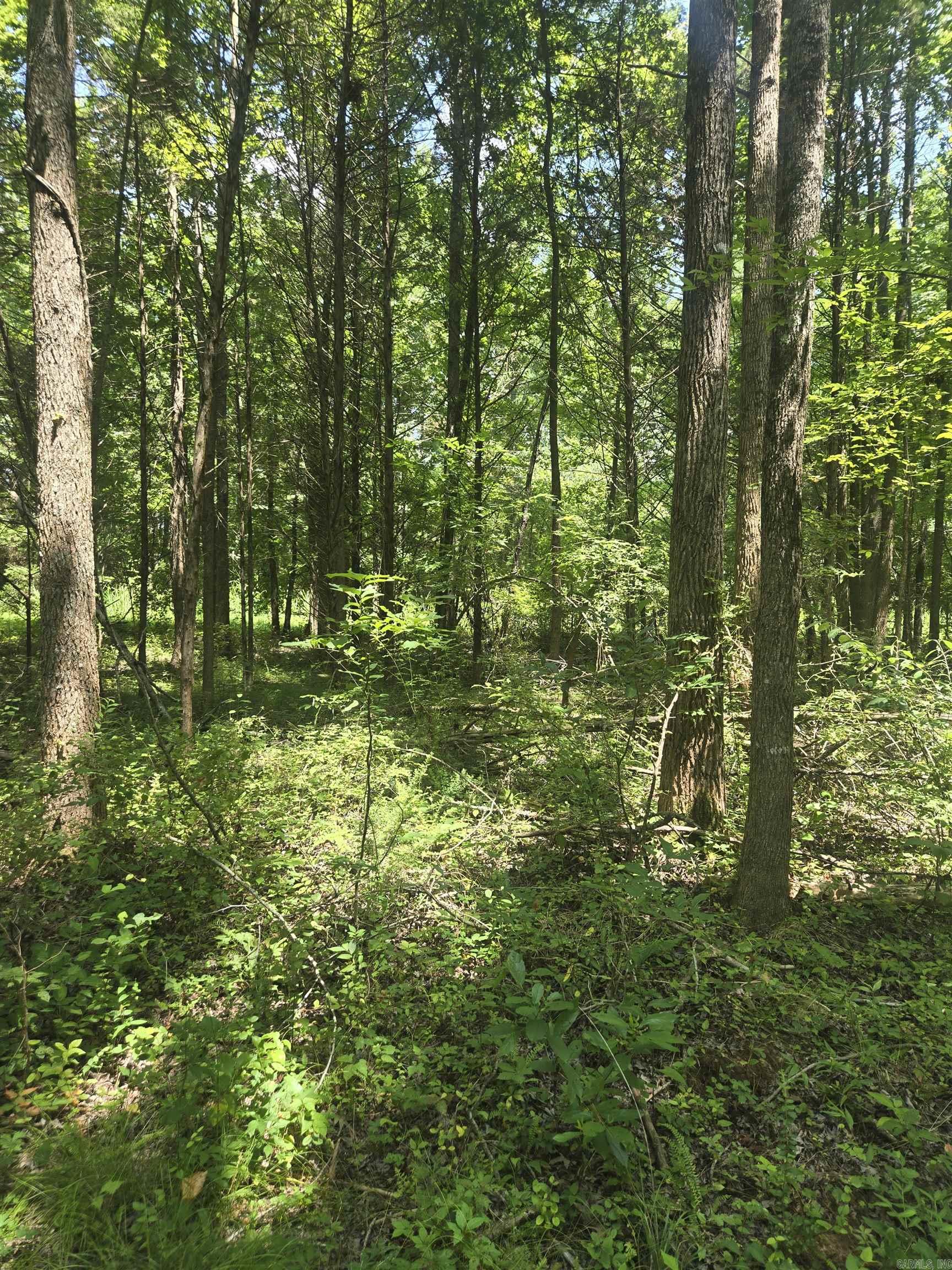 1084 Pickens Chapel  Letona, AR