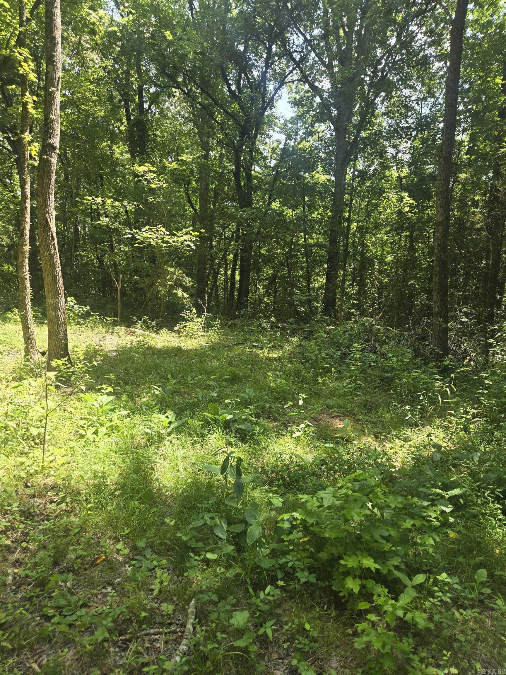 1084 Pickens Chapel  Letona, AR