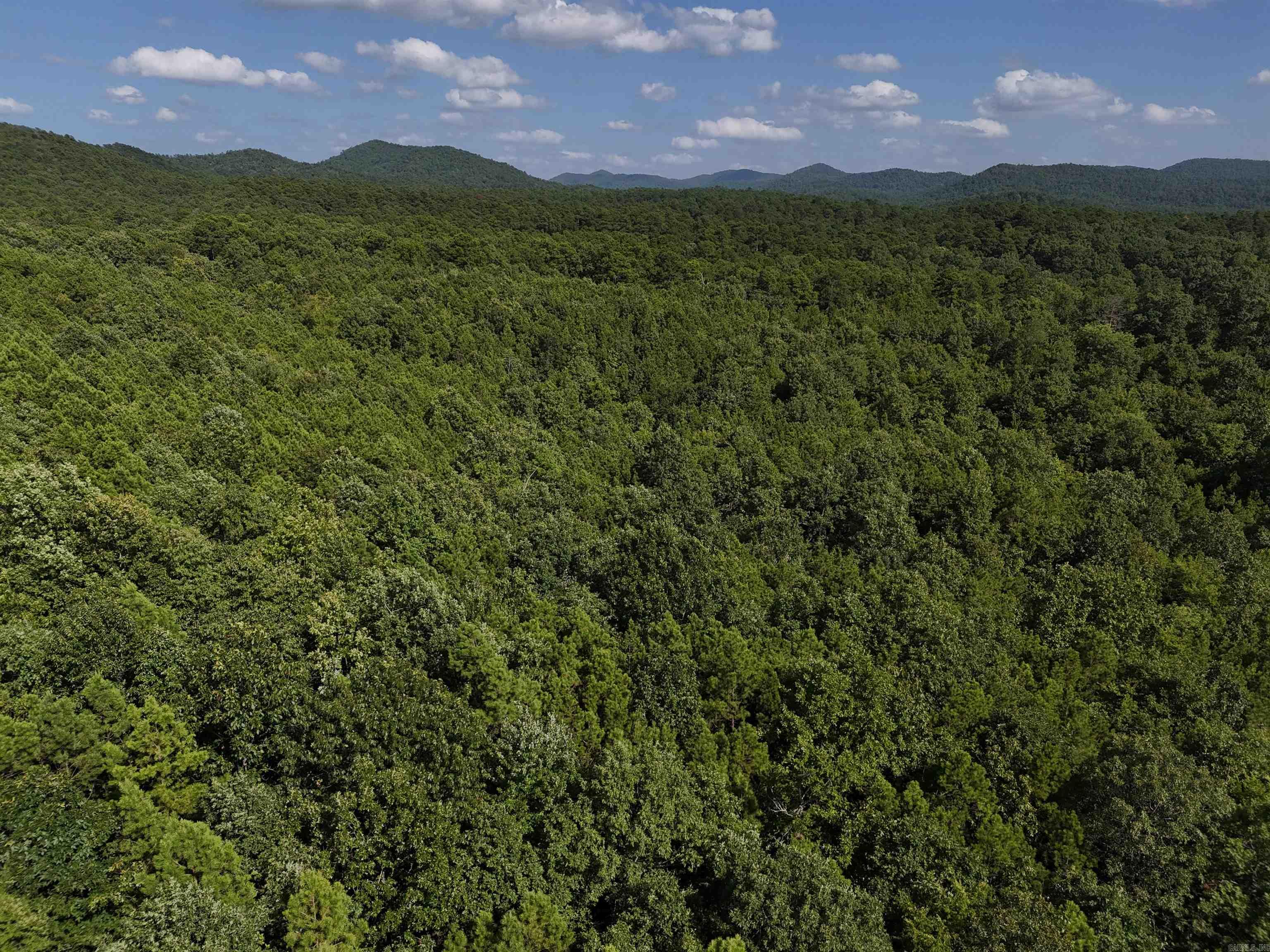 Lot 6 Polk Road 78  Mena, AR