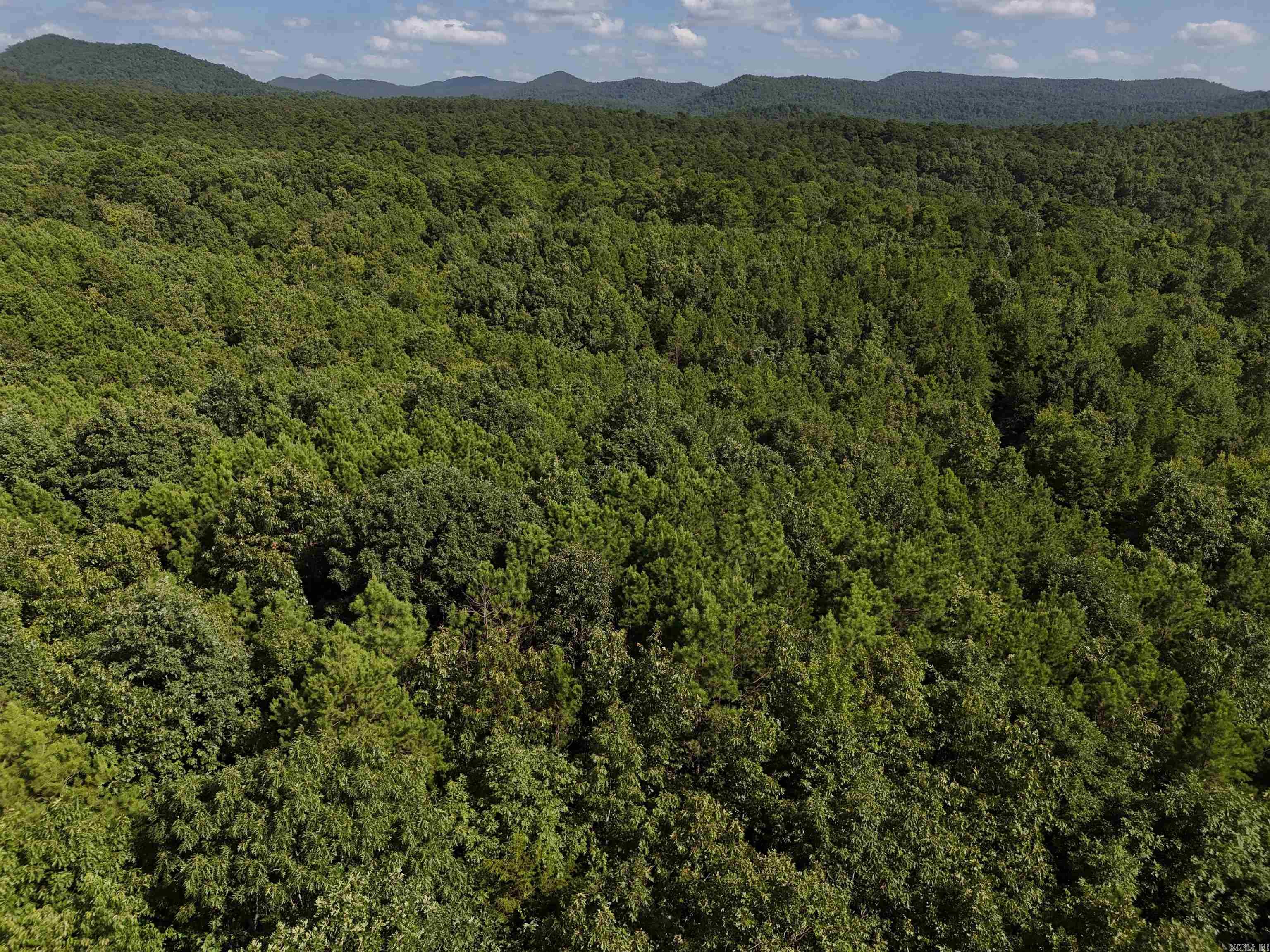 Lot 7 Polk Road 78  Mena, AR