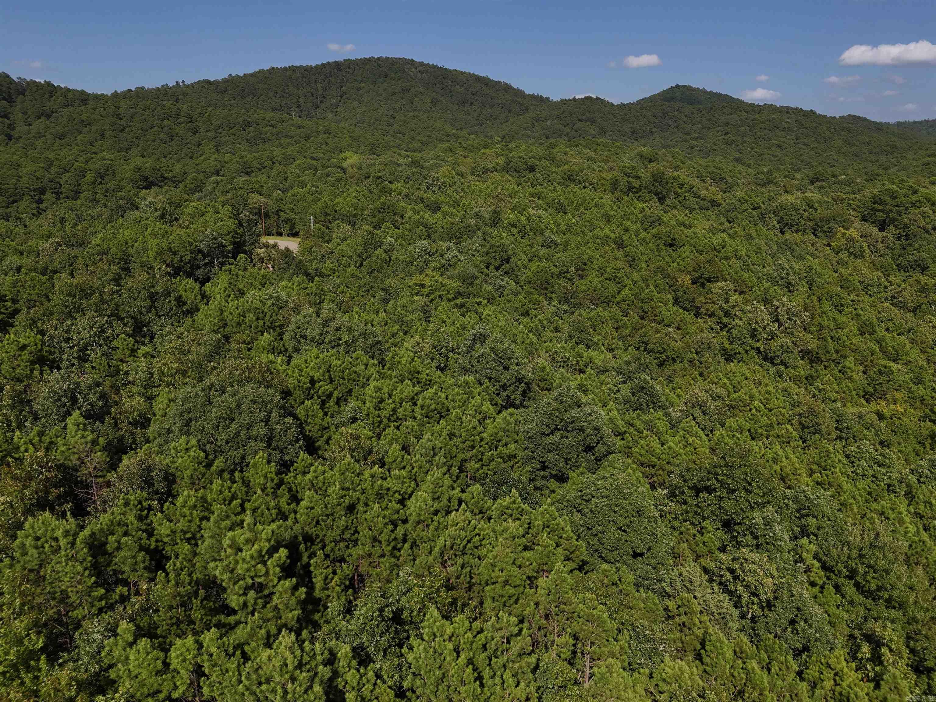 Lot 7 Polk Road 78  Mena, AR