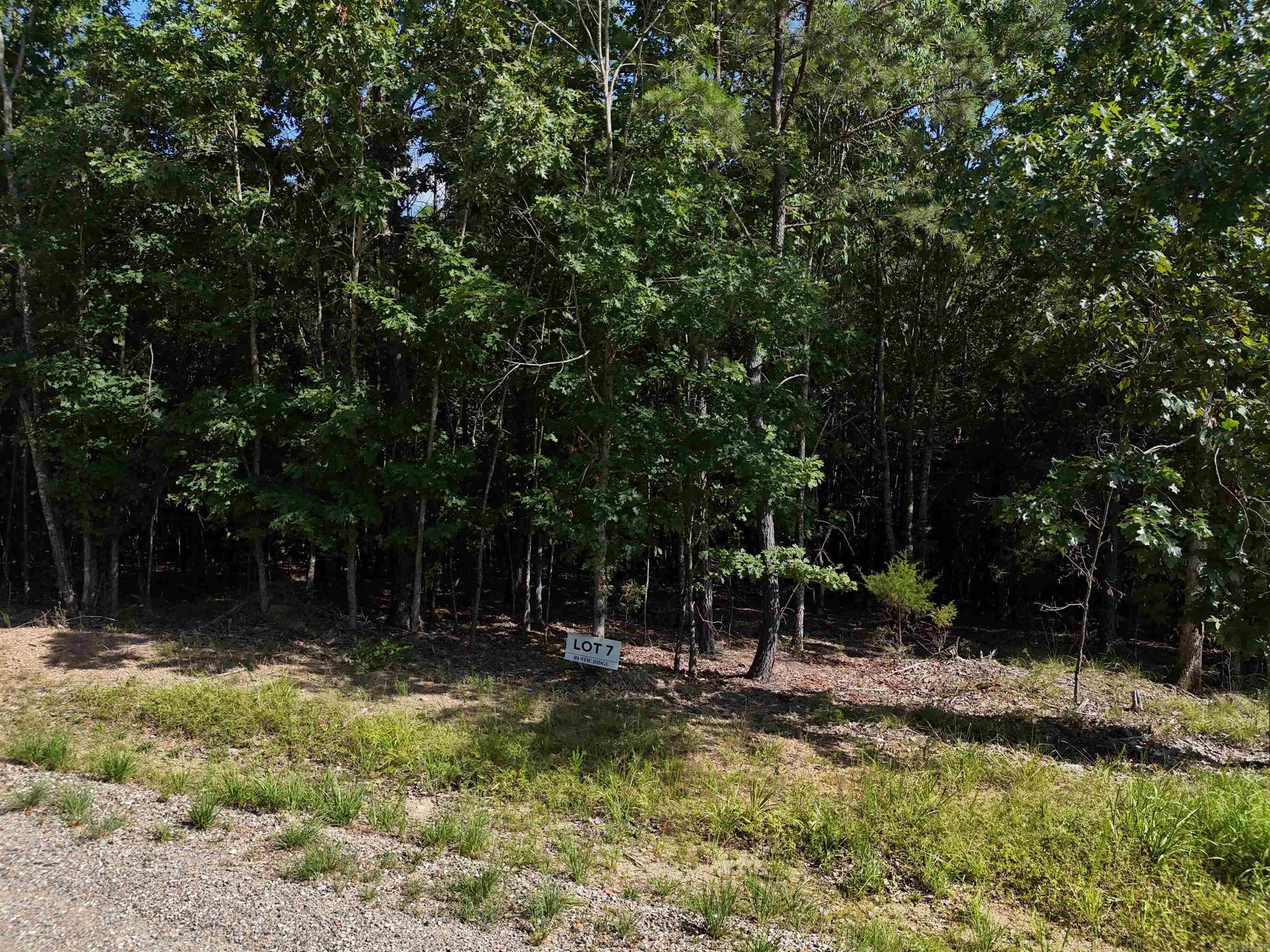 Lot 7 Polk Road 78  Mena, AR