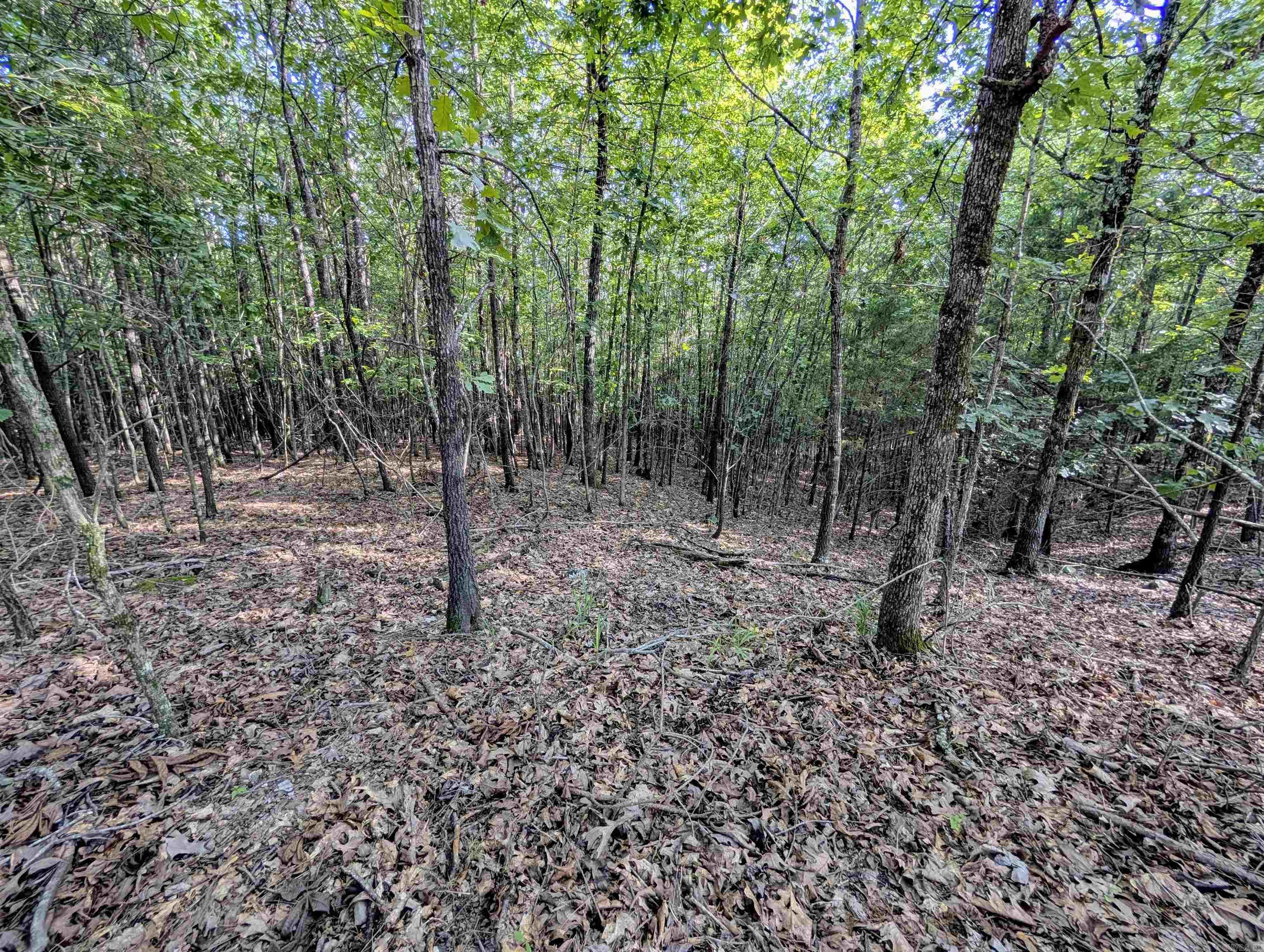 Lot 7 Polk Road 78  Mena, AR