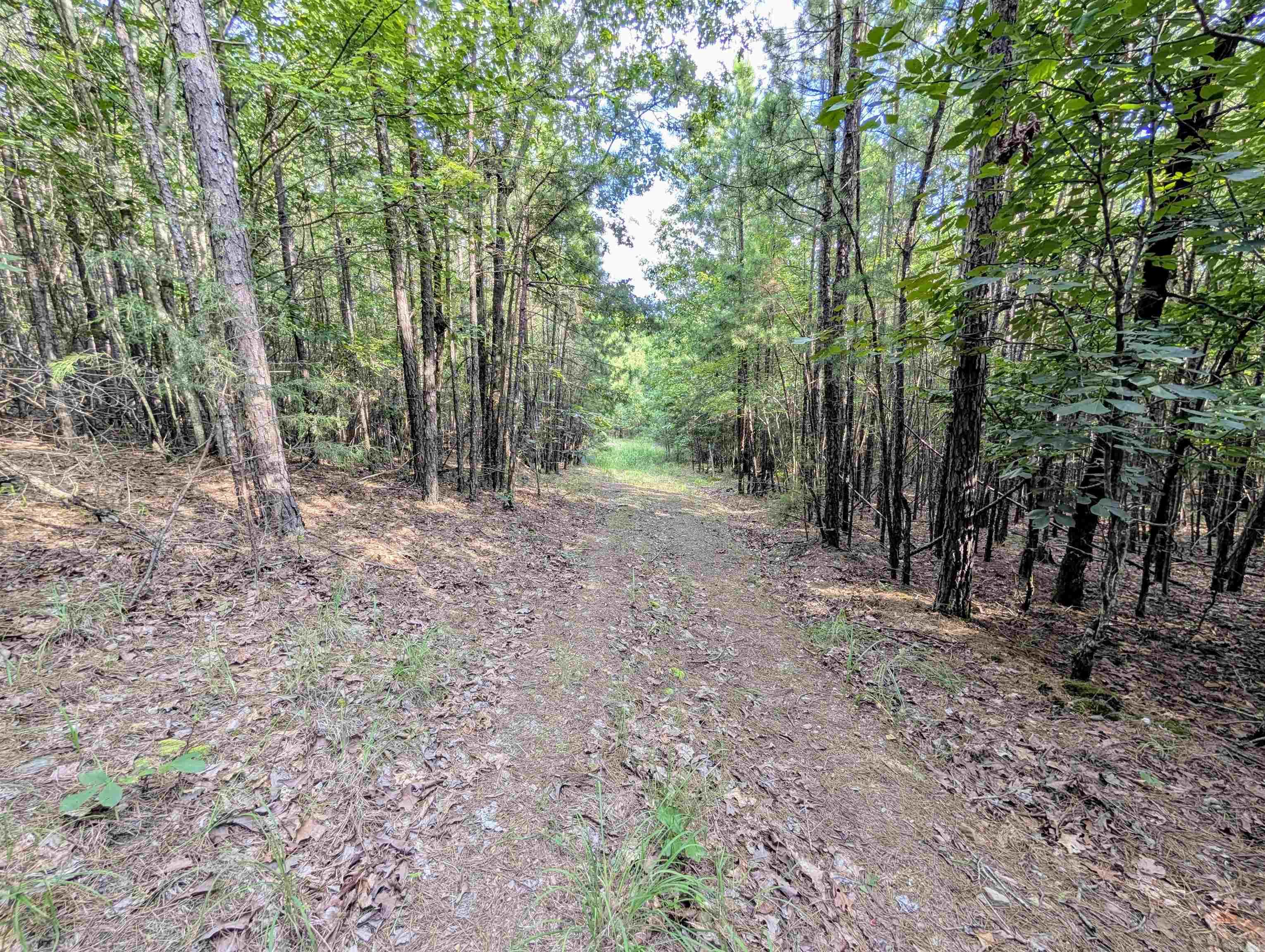 Lot 7 Polk Road 78  Mena, AR