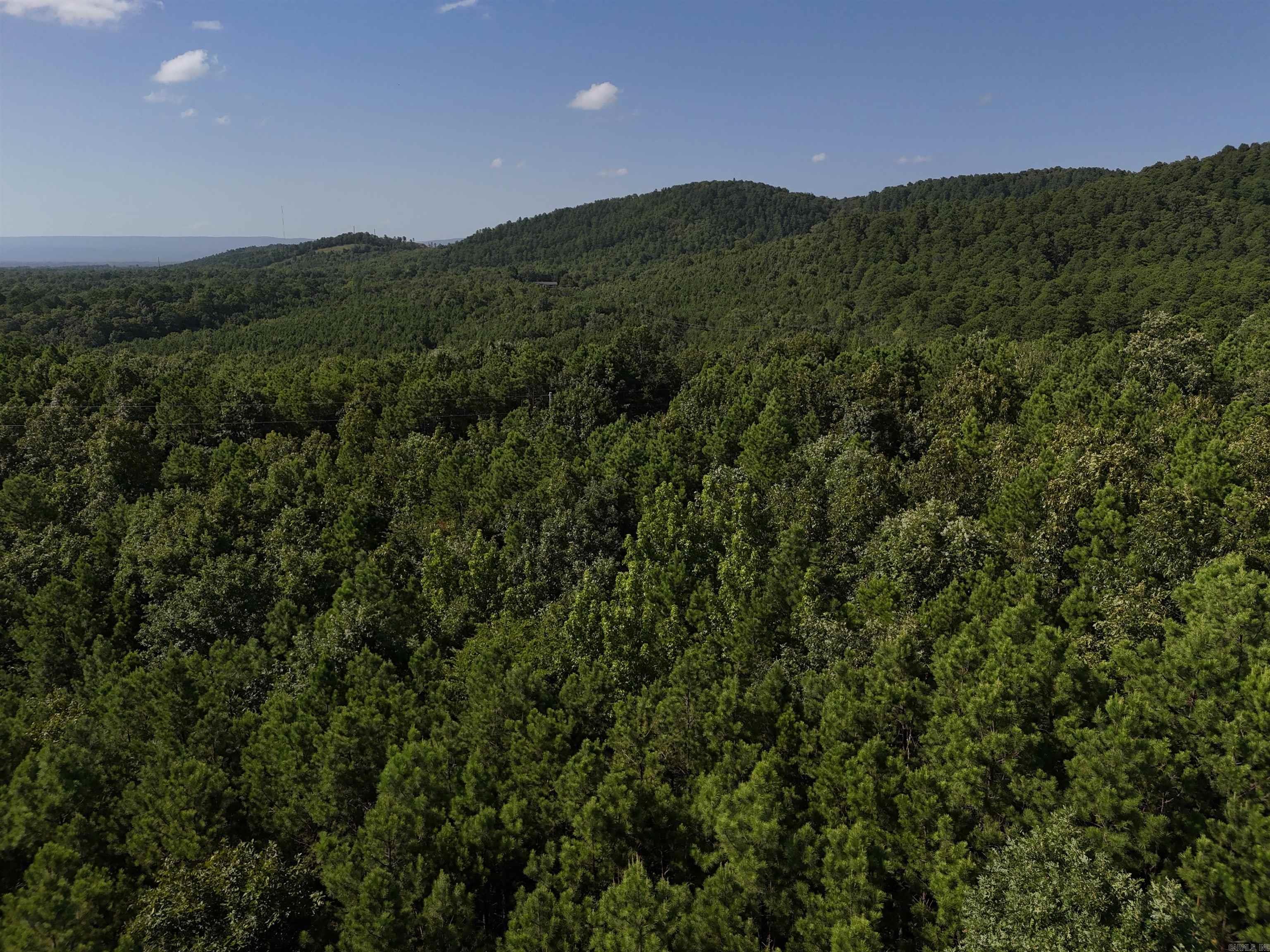 Lot 8 Polk Road 78  Mena, AR