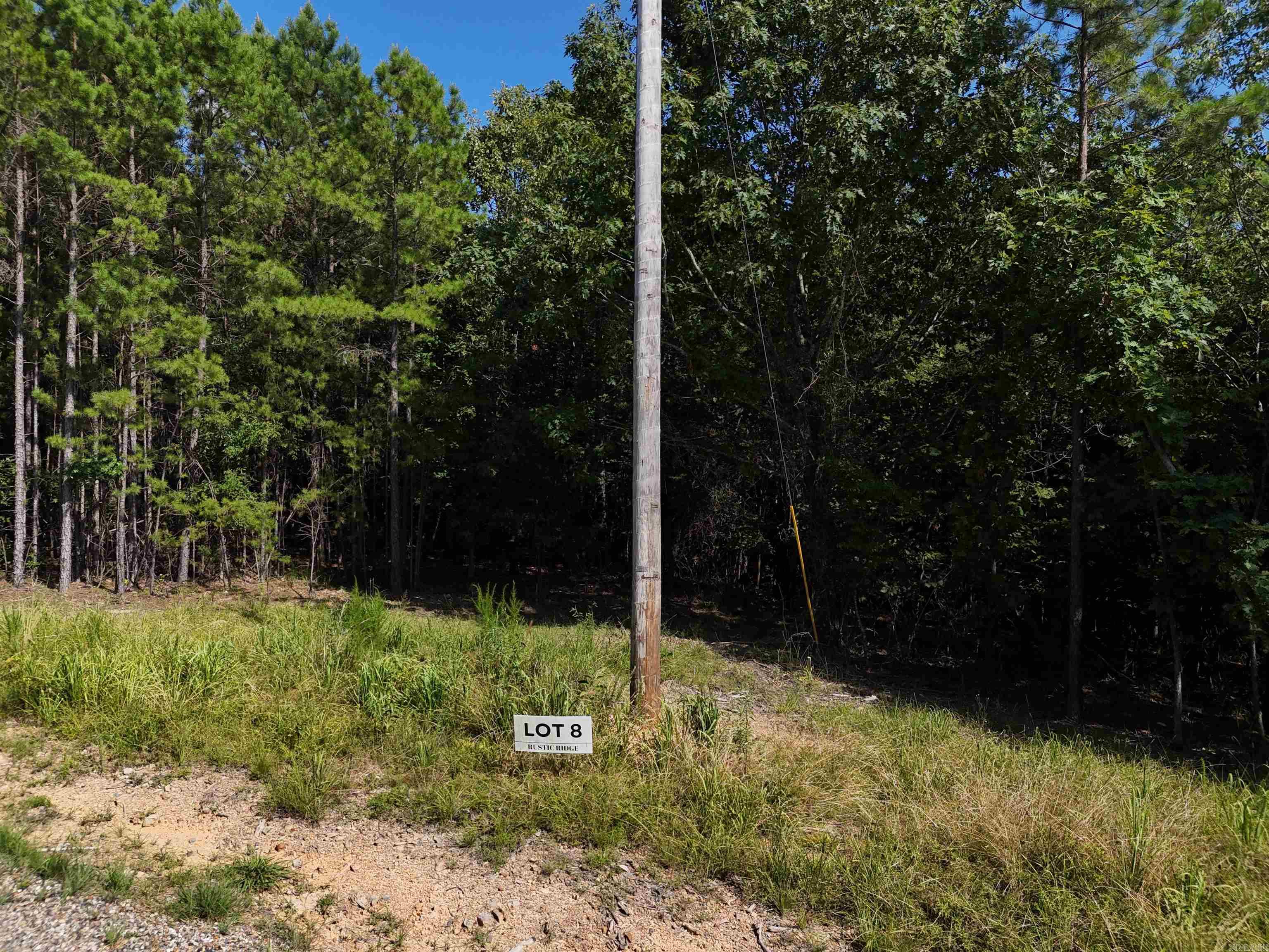 Lot 8 Polk Road 78  Mena, AR