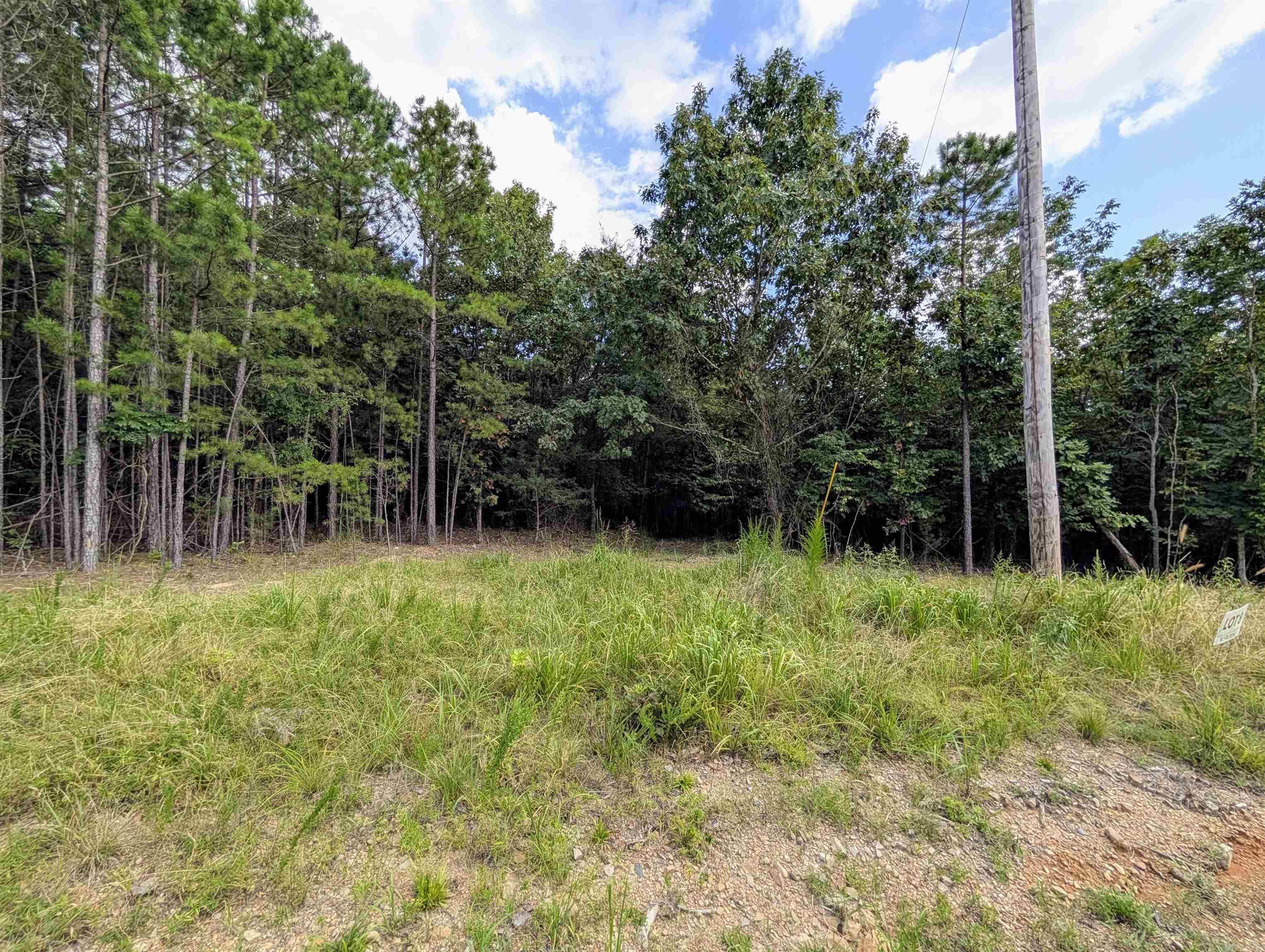Lot 8 Polk Road 78  Mena, AR
