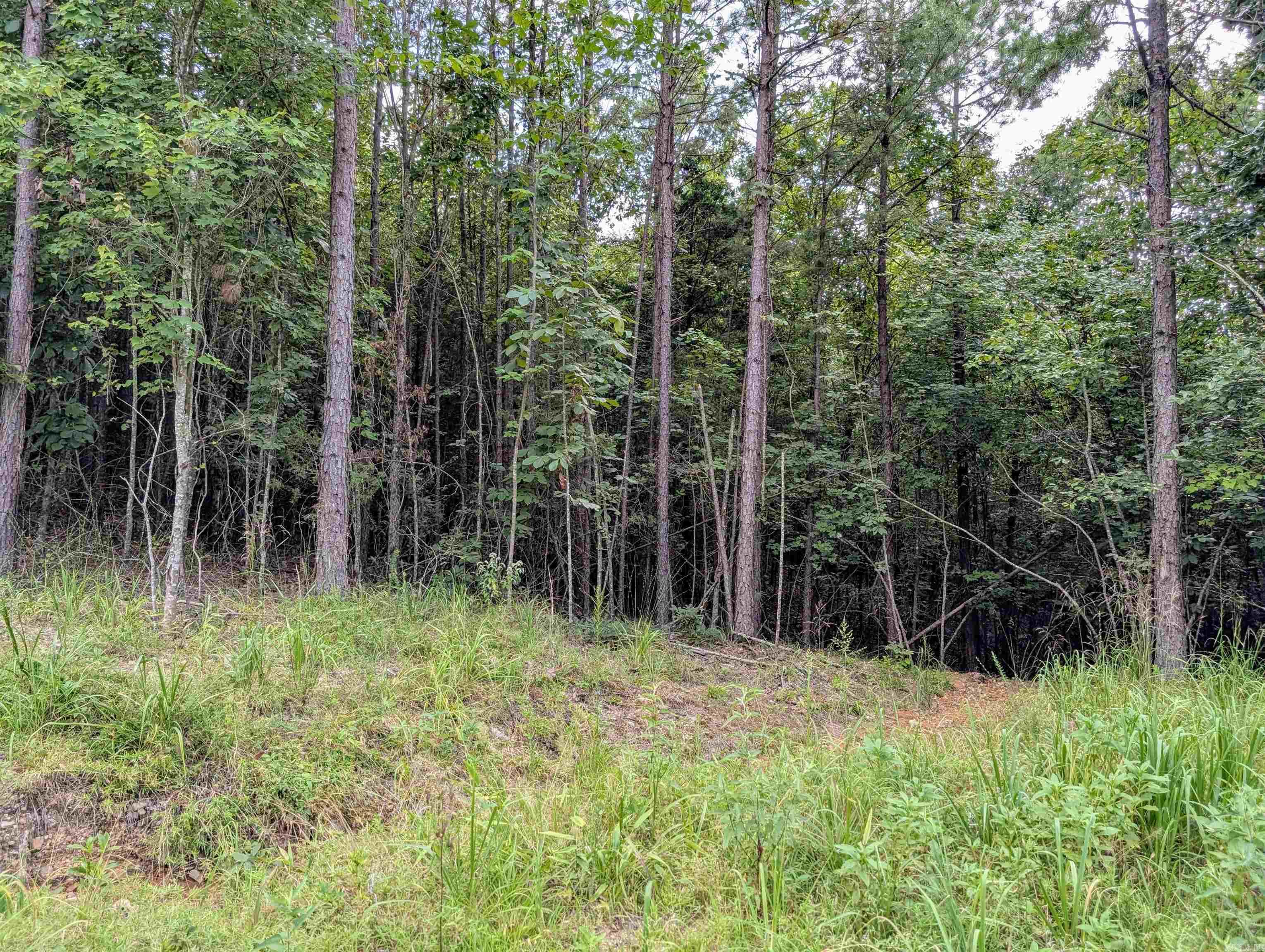 Lot 8 Polk Road 78  Mena, AR
