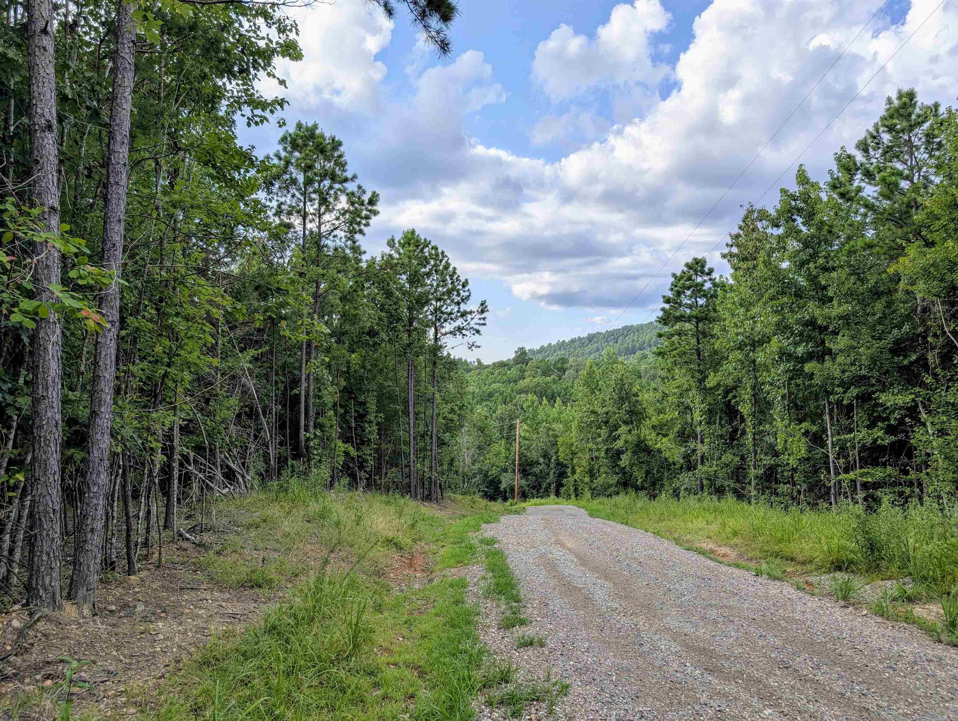 Lot 8 Polk Road 78  Mena, AR
