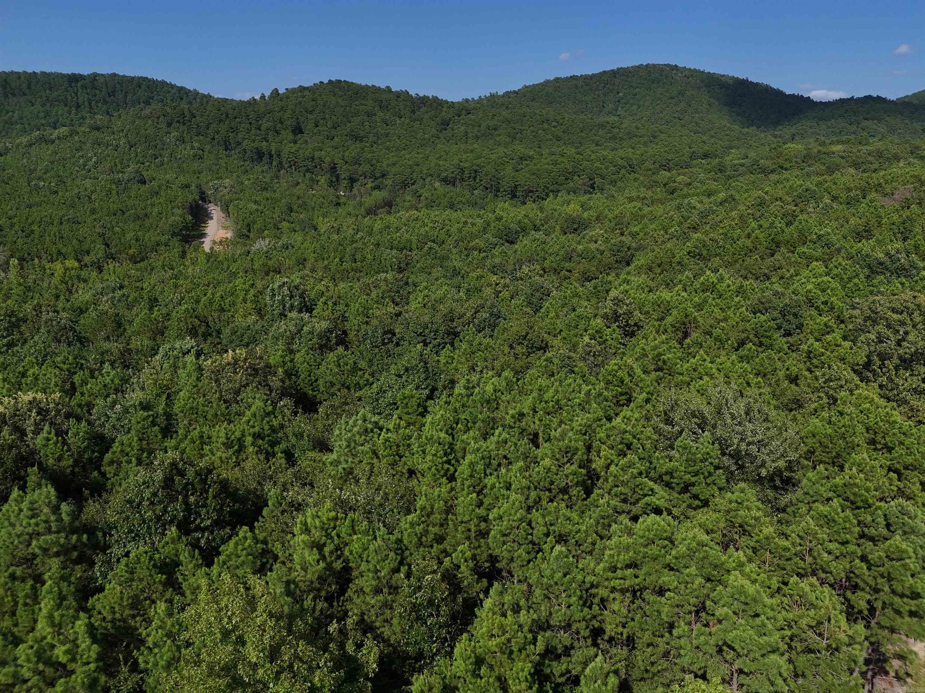 Lot 10 Polk Road 78  Mena, AR