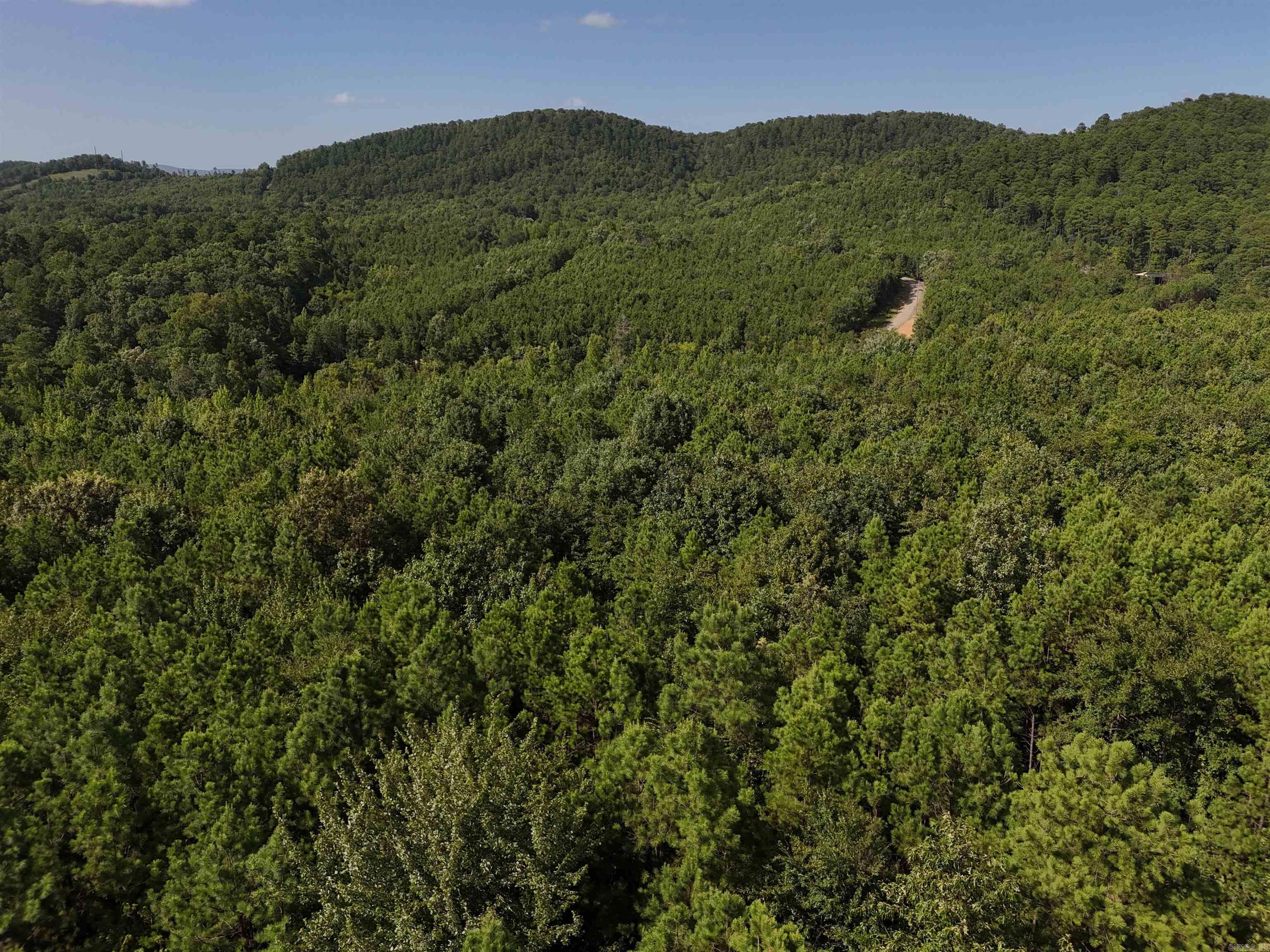 Lot 10 Polk Road 78  Mena, AR