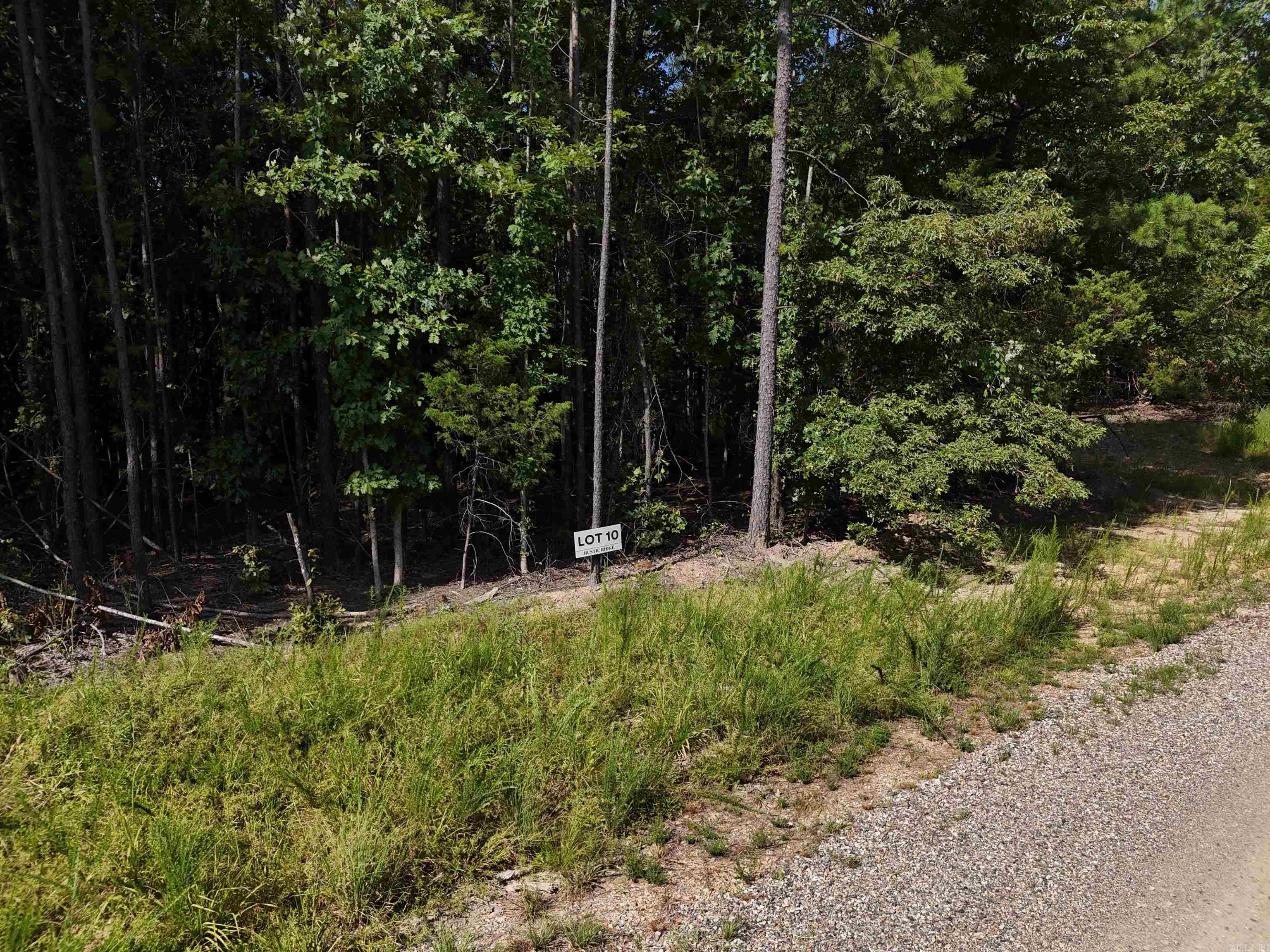 Lot 10 Polk Road 78  Mena, AR