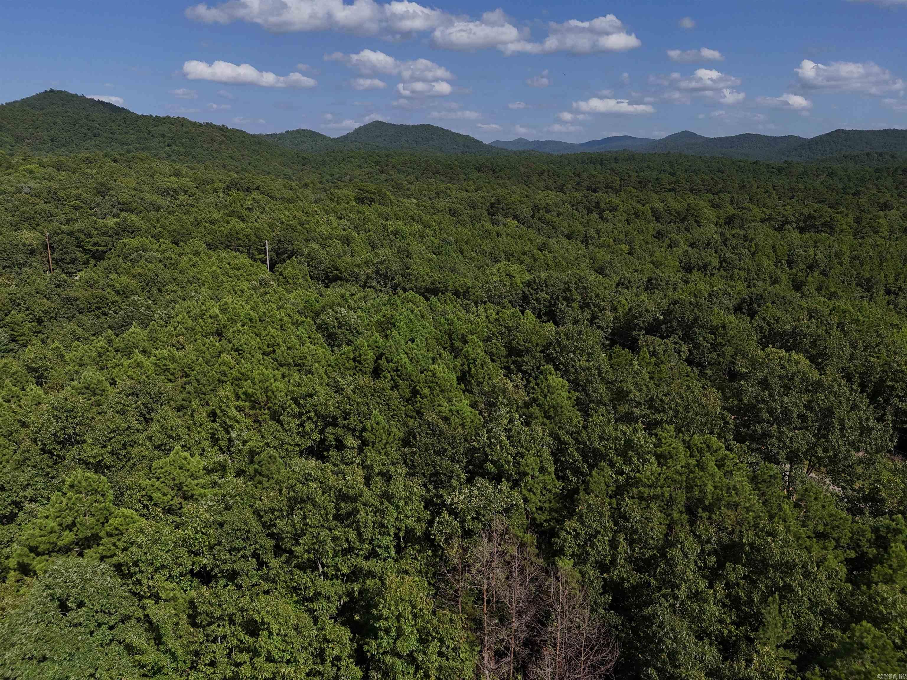 Lot 11 Polk Road 78  Mena, AR